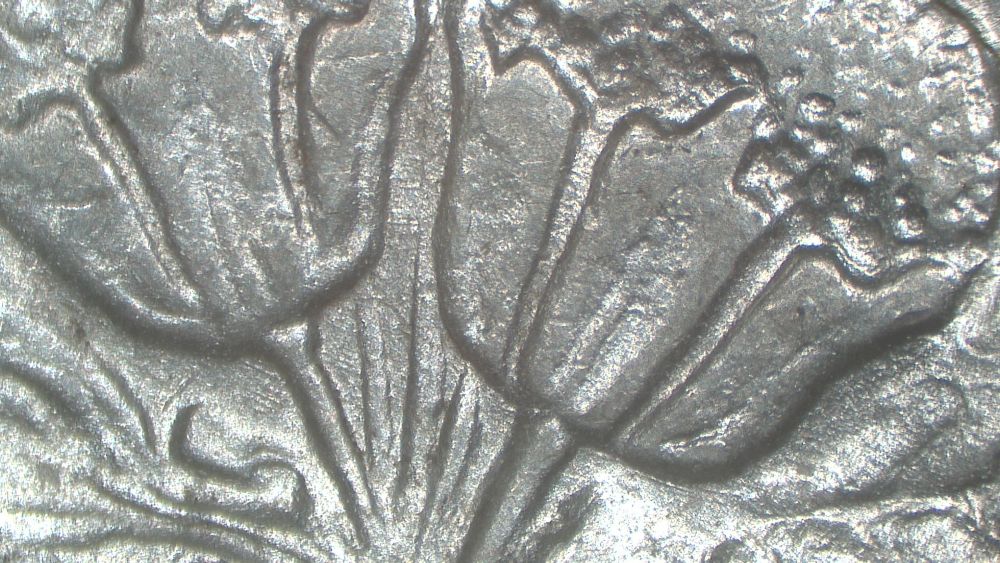 Image 31