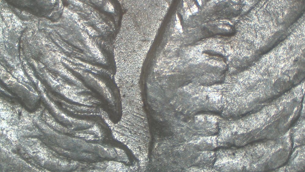 Image 23
