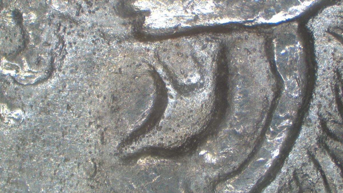 Image 16