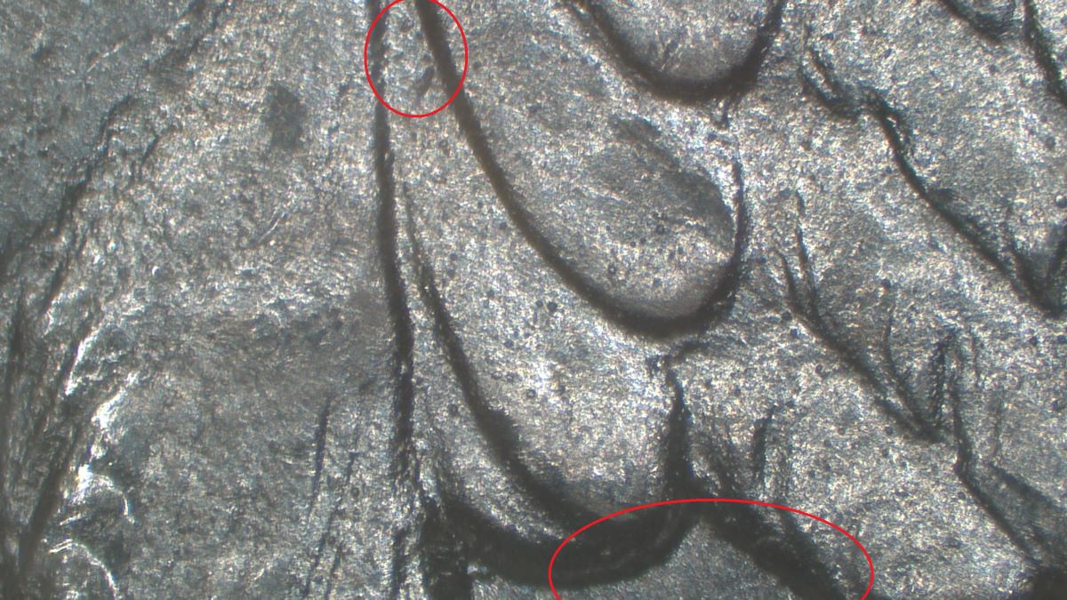 Image 8