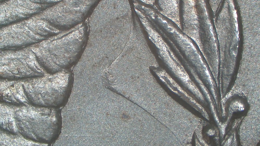 Image 15