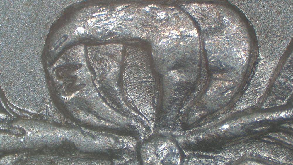 Image 13