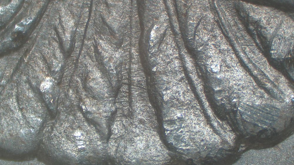 Image 23