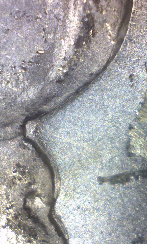 Image 15