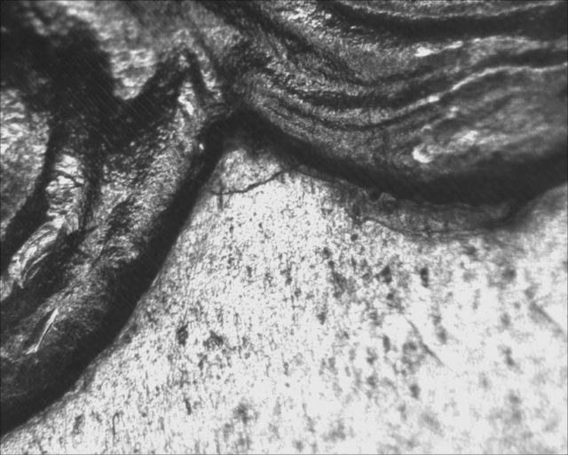 Image 18