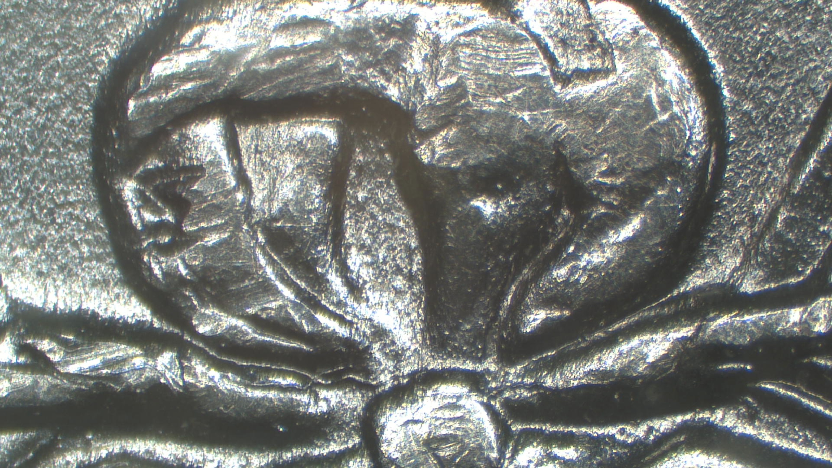 Image 13
