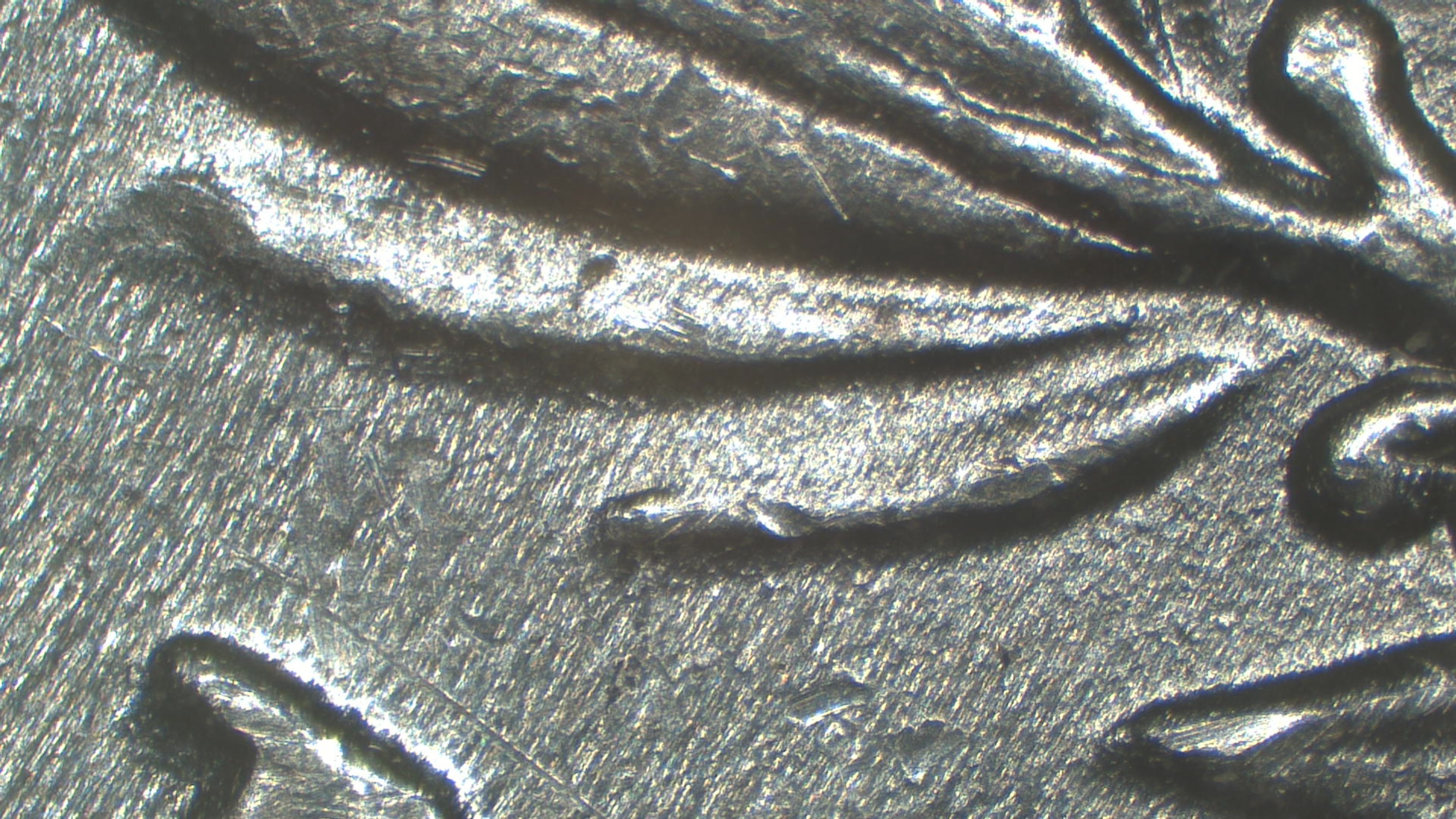 Image 23
