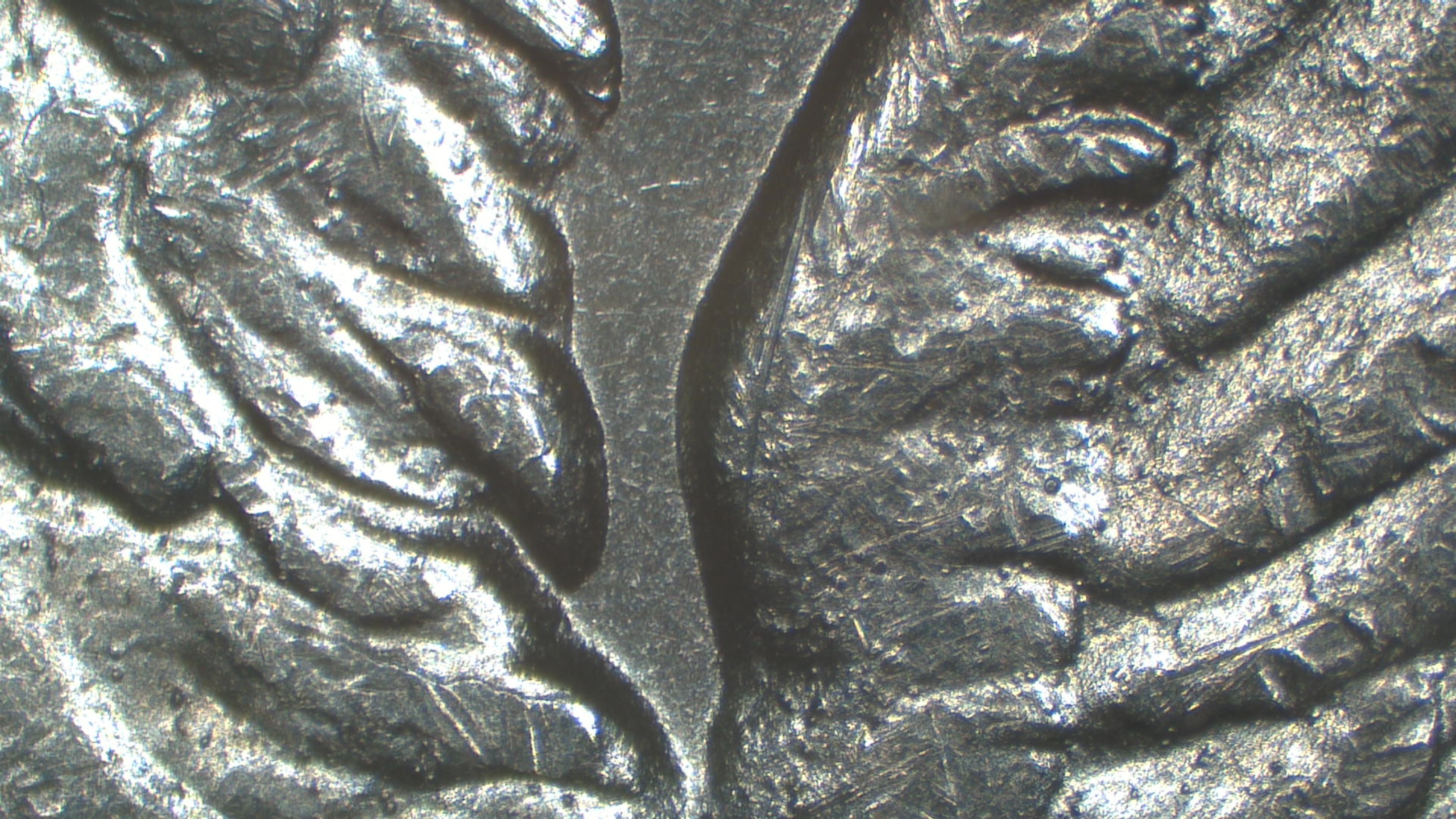 Image 22