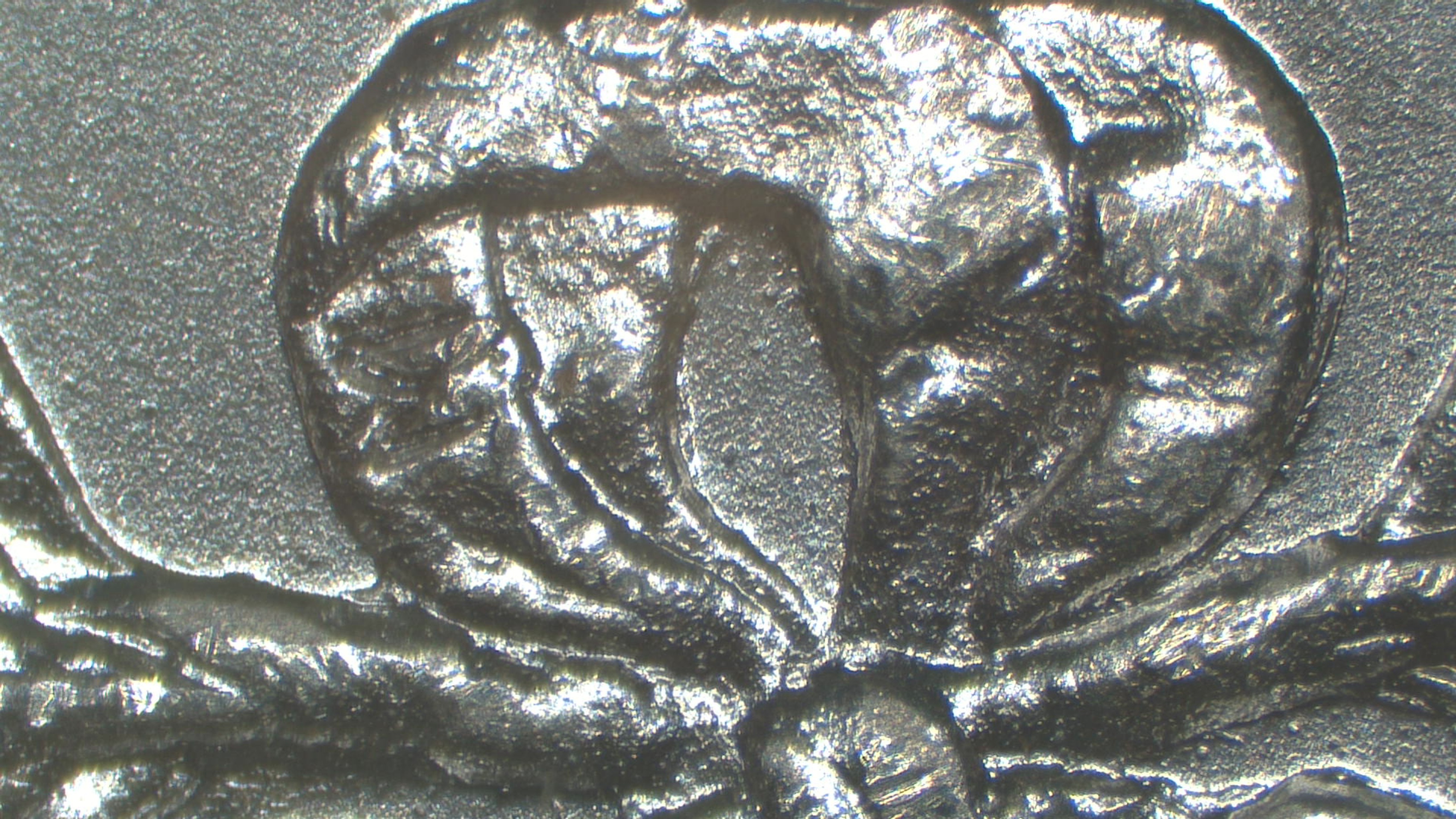 Image 14