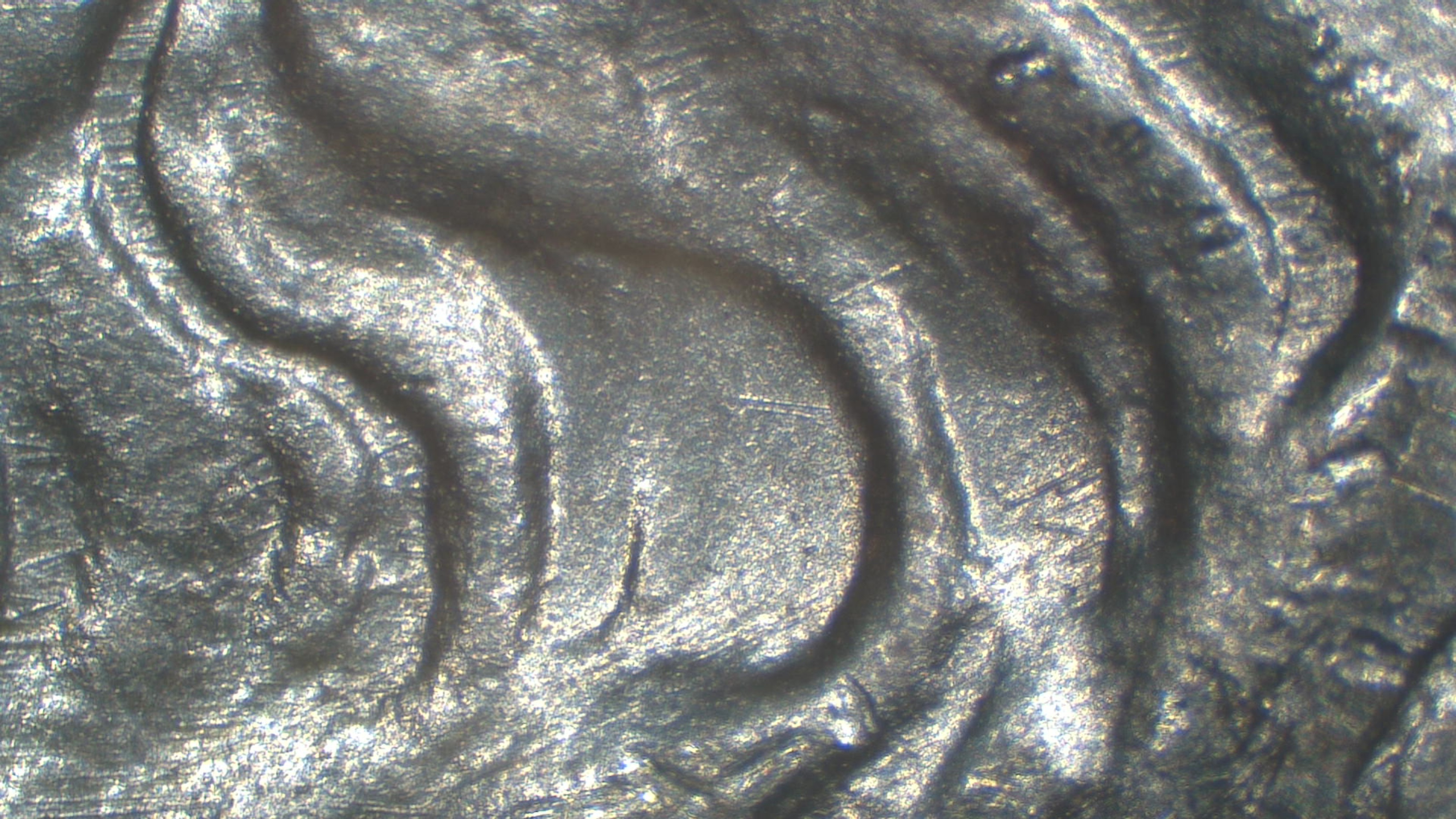 Image 13