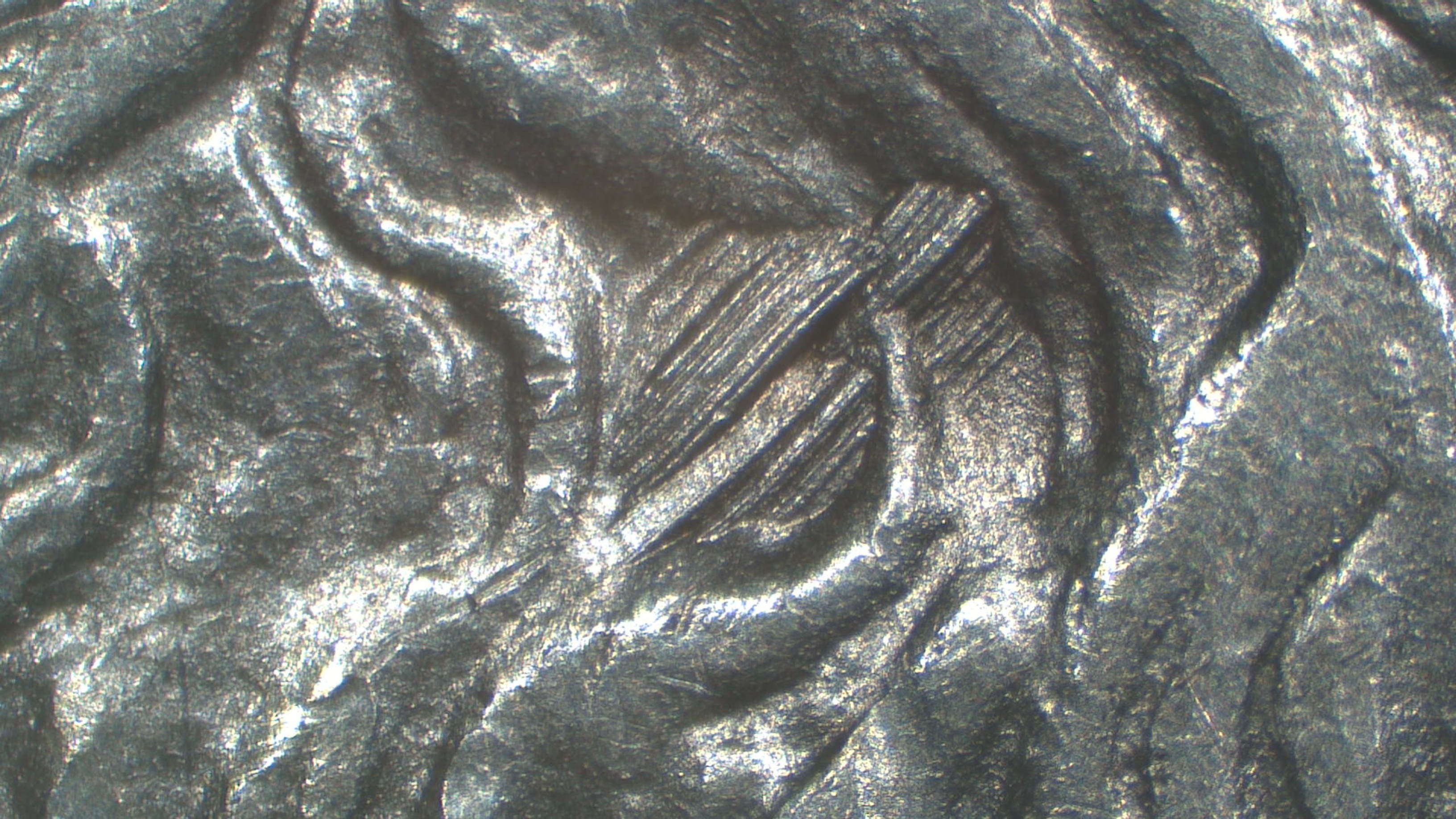 Image 9