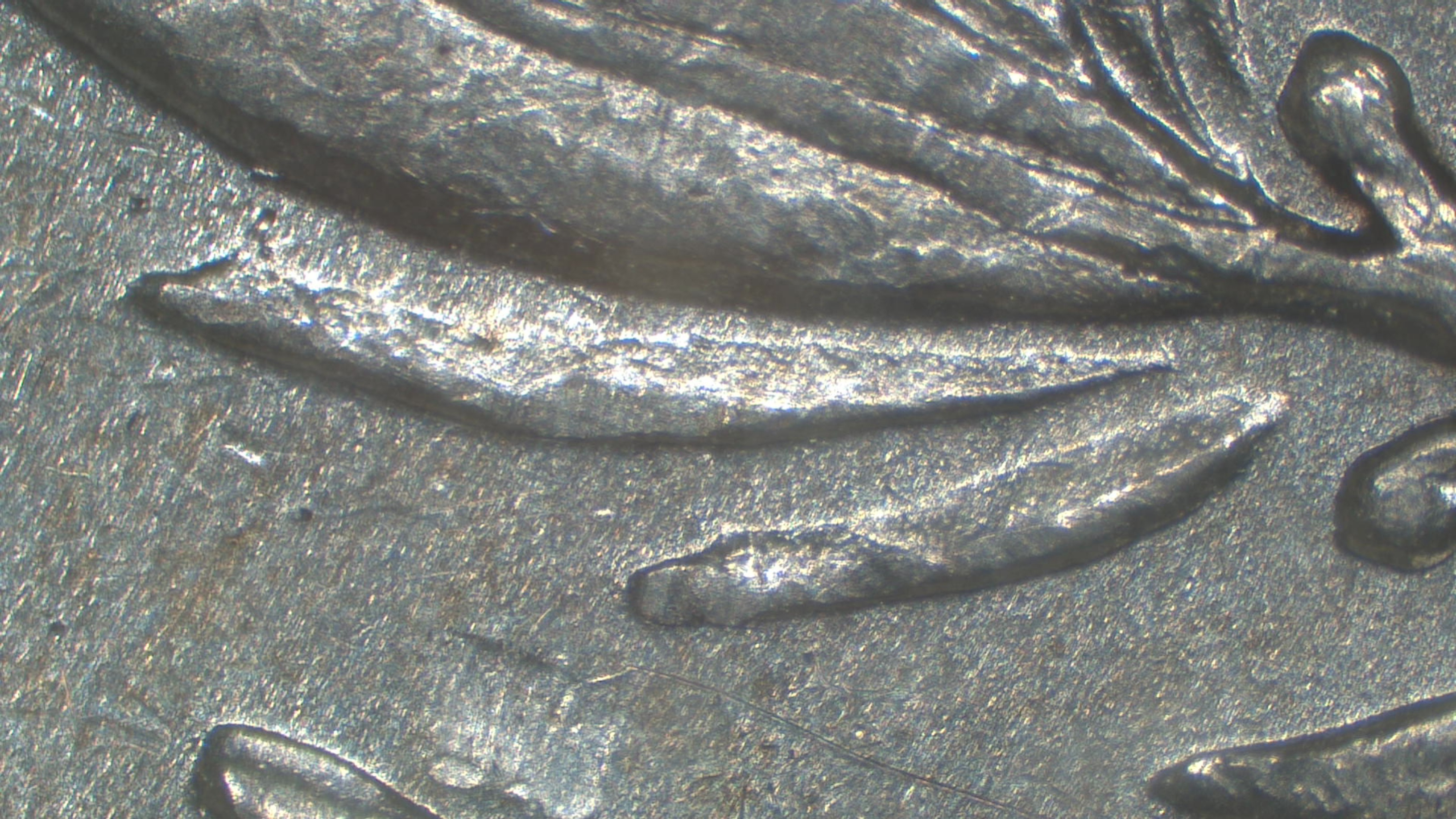 Image 17