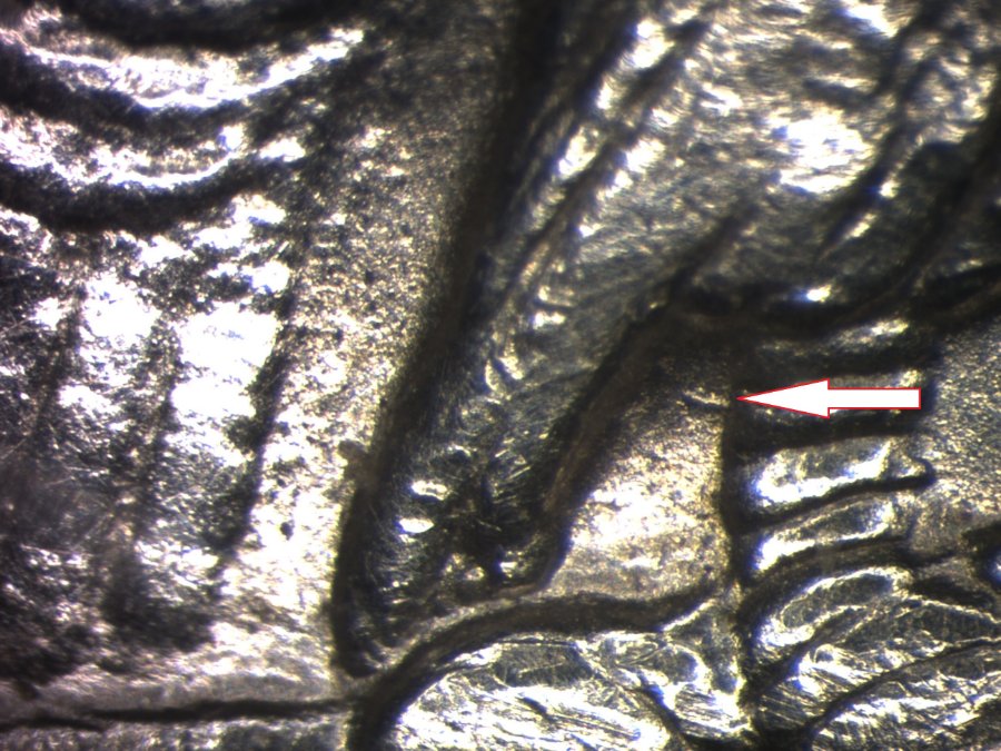 Image 9