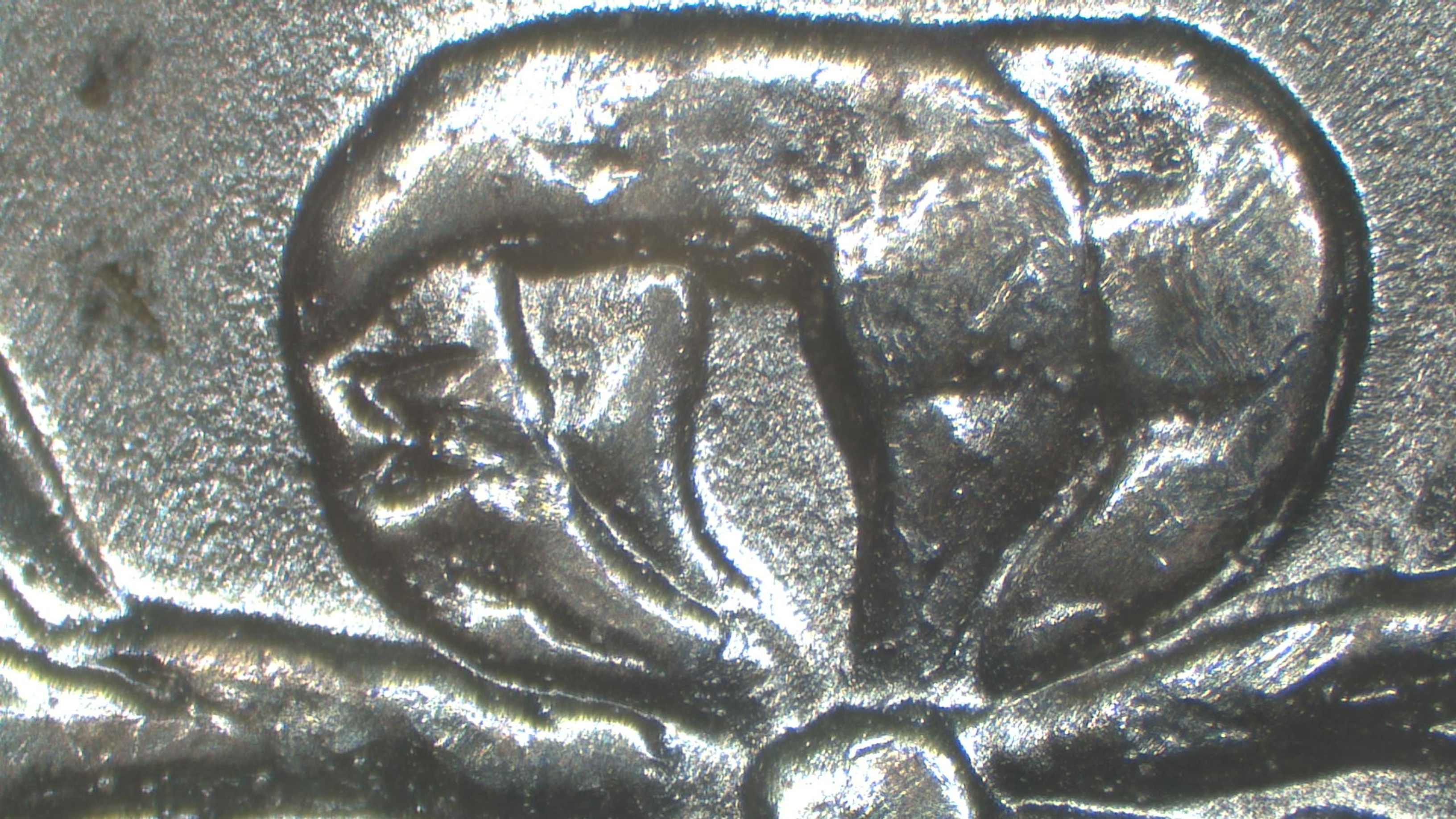Image 16