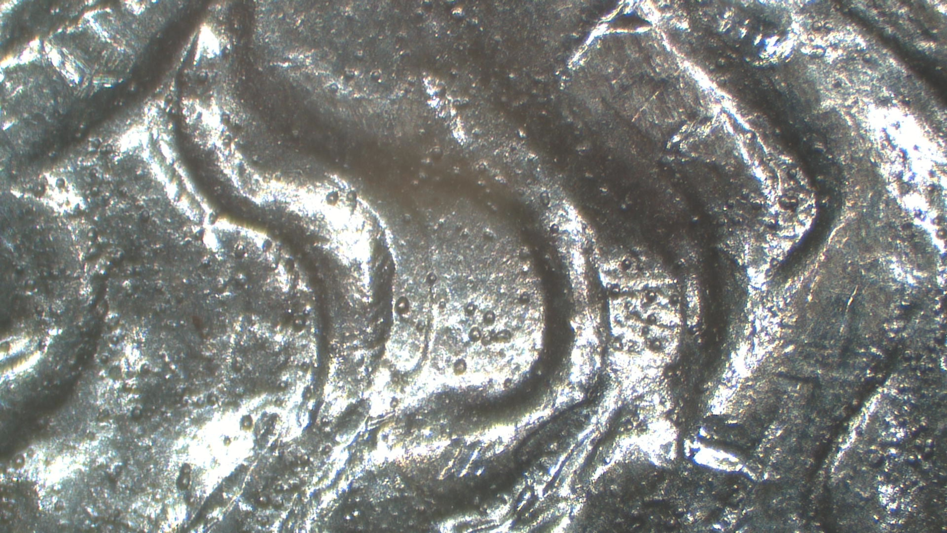 Image 18