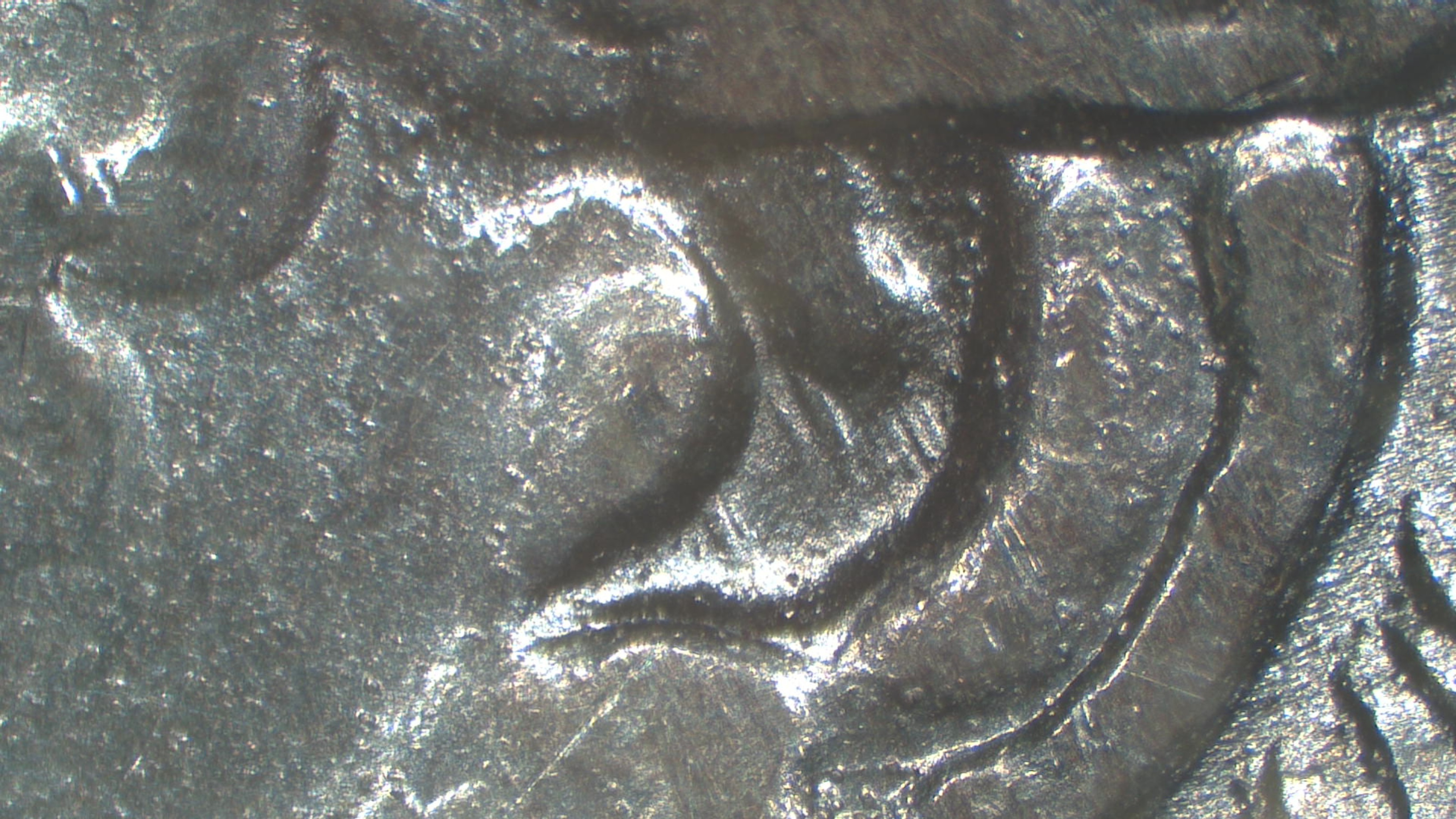 Image 14
