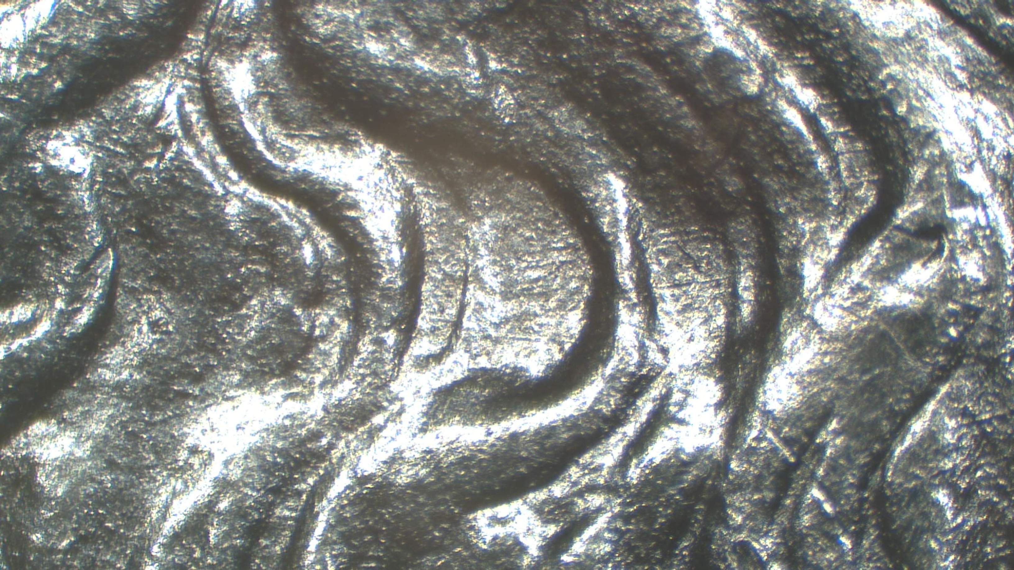 Image 20