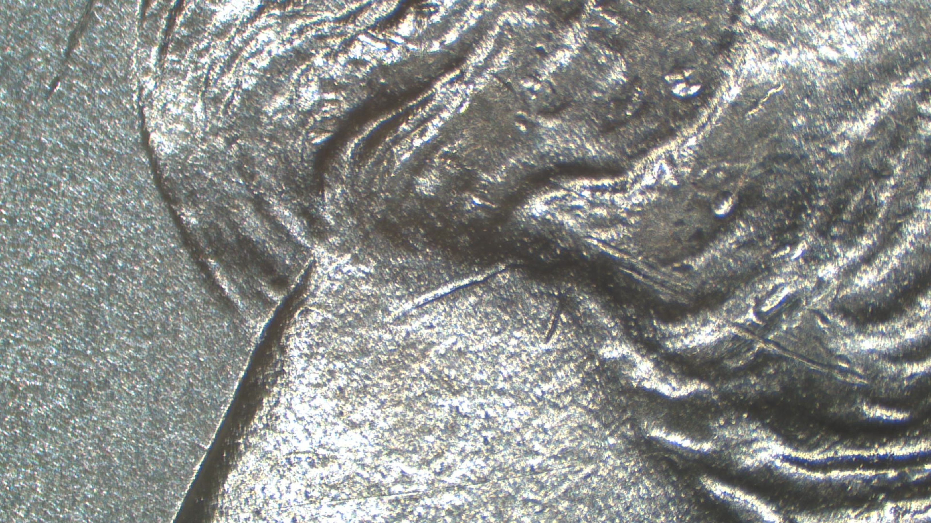 Image 16