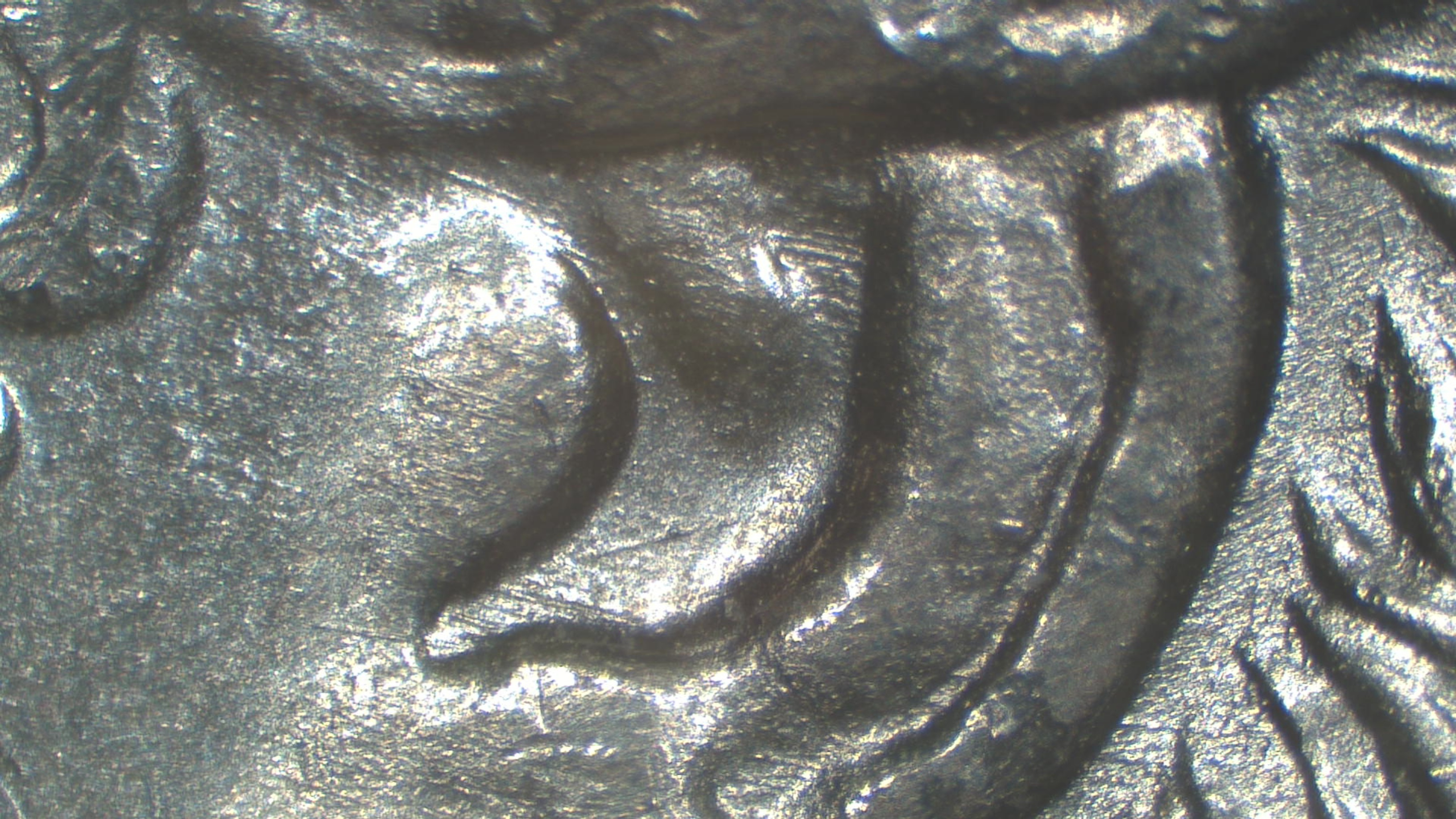 Image 15
