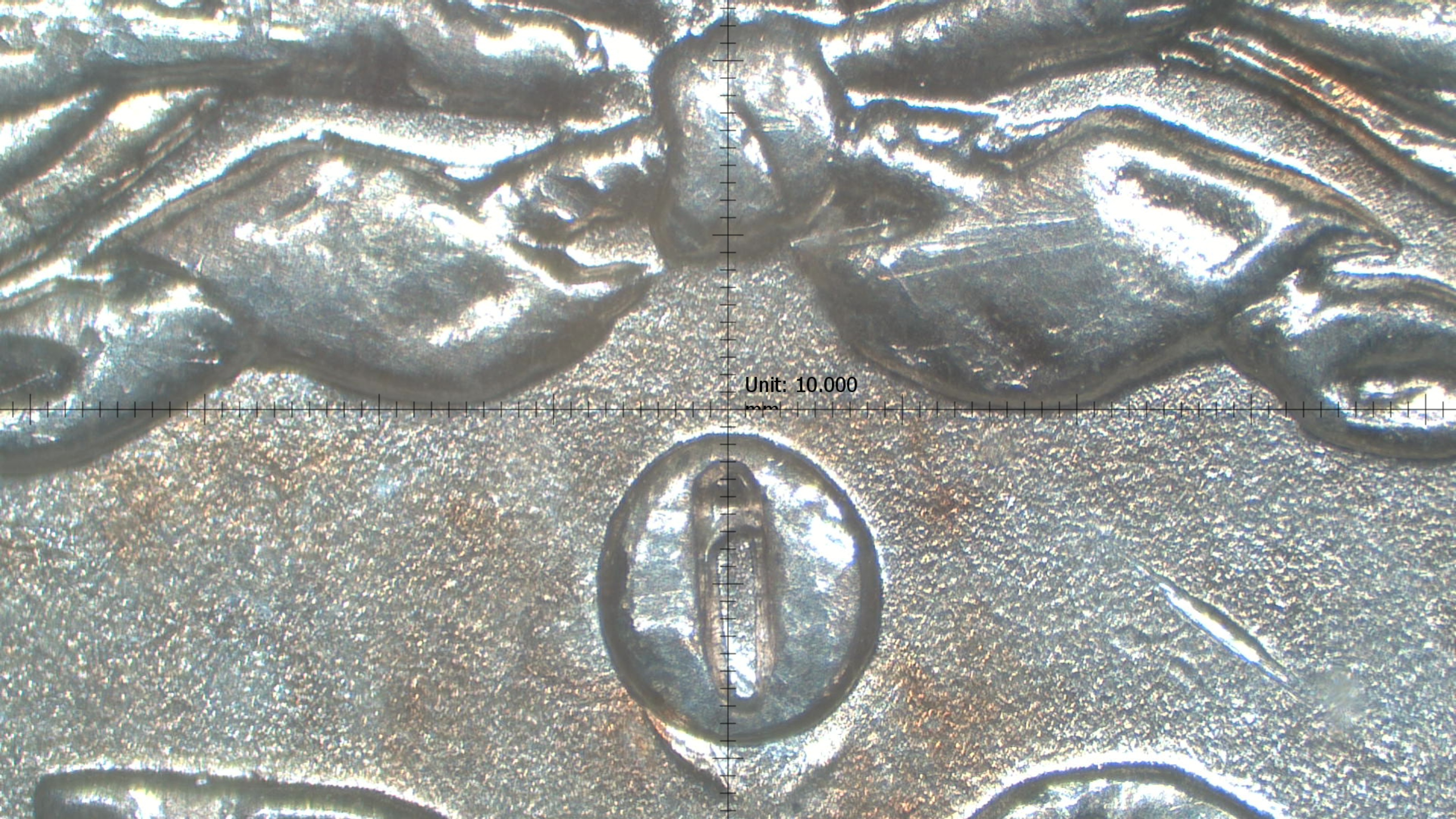 Image 14