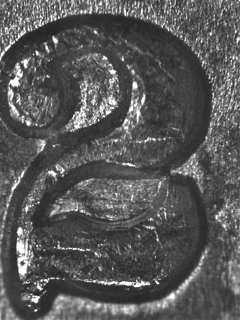 Image 11