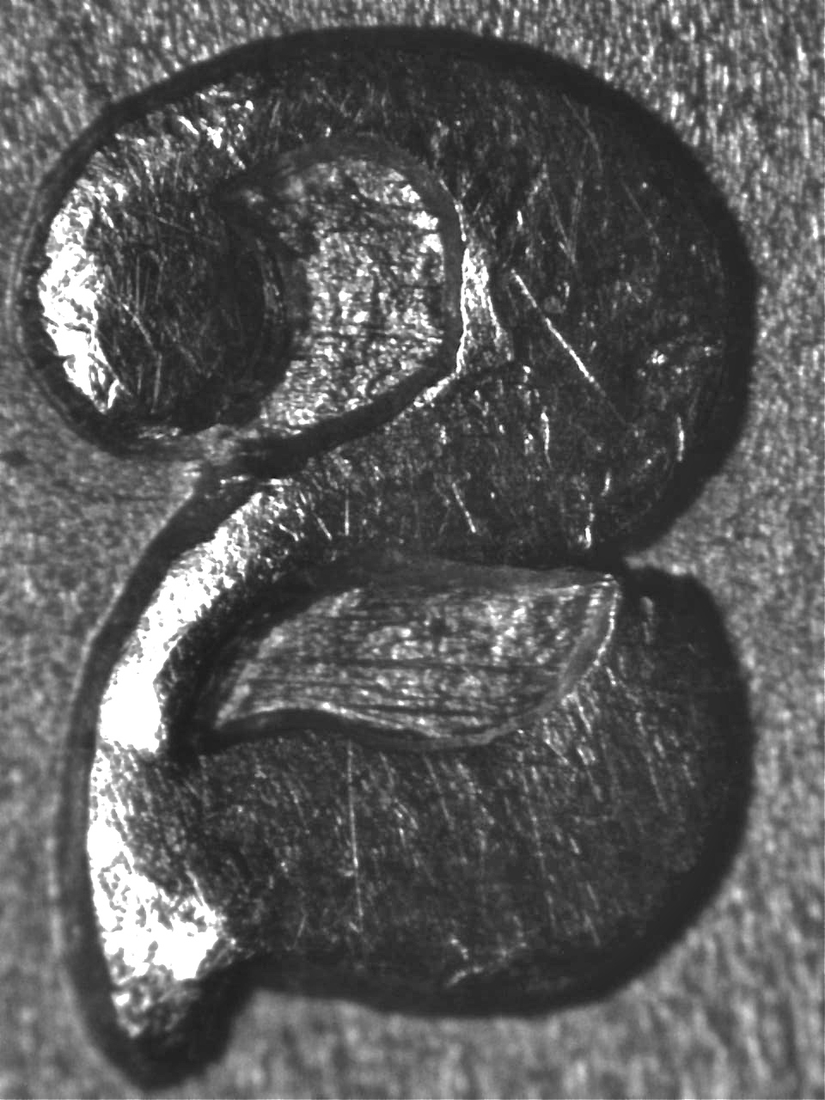 Image 19