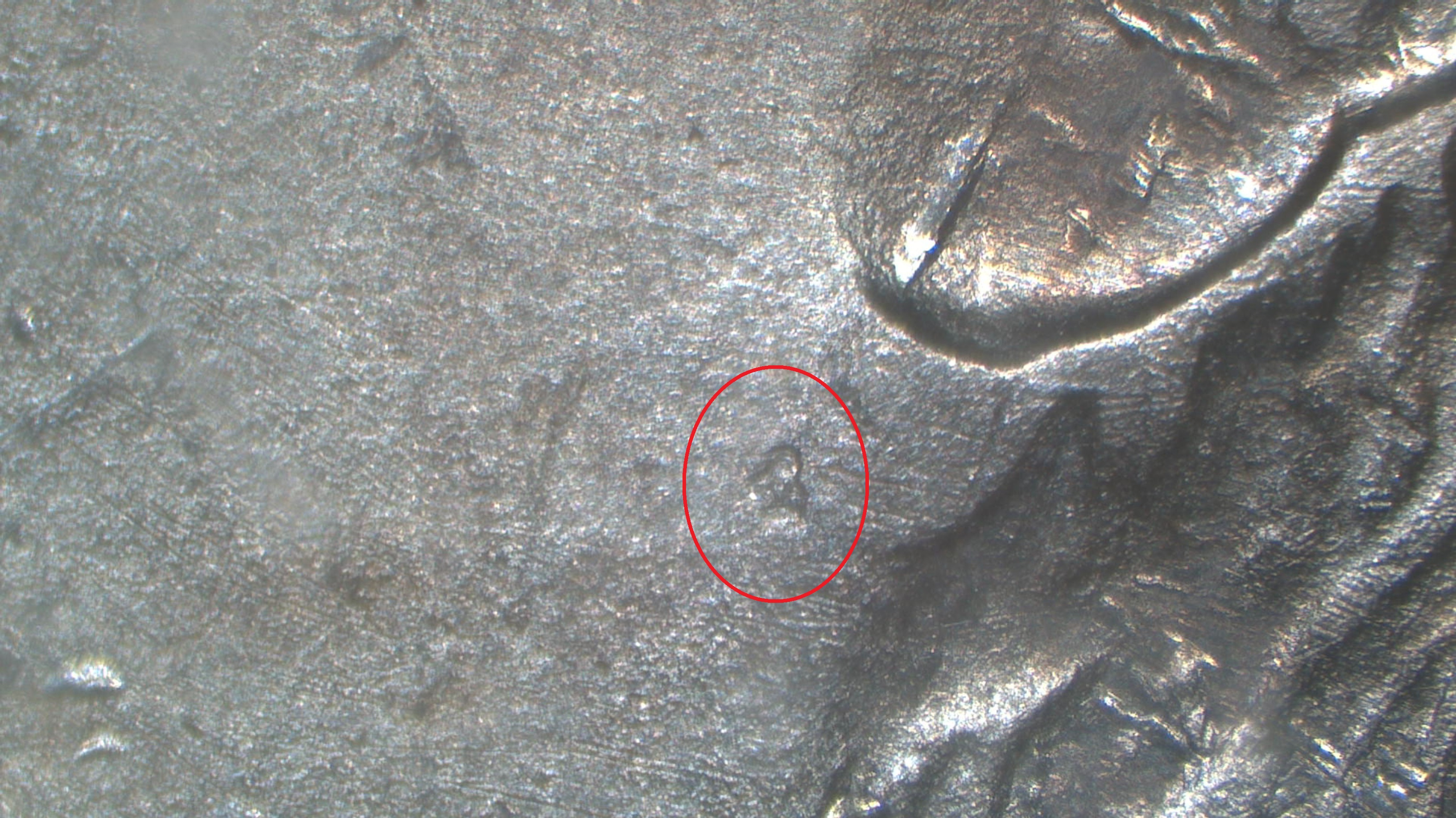 Image 9