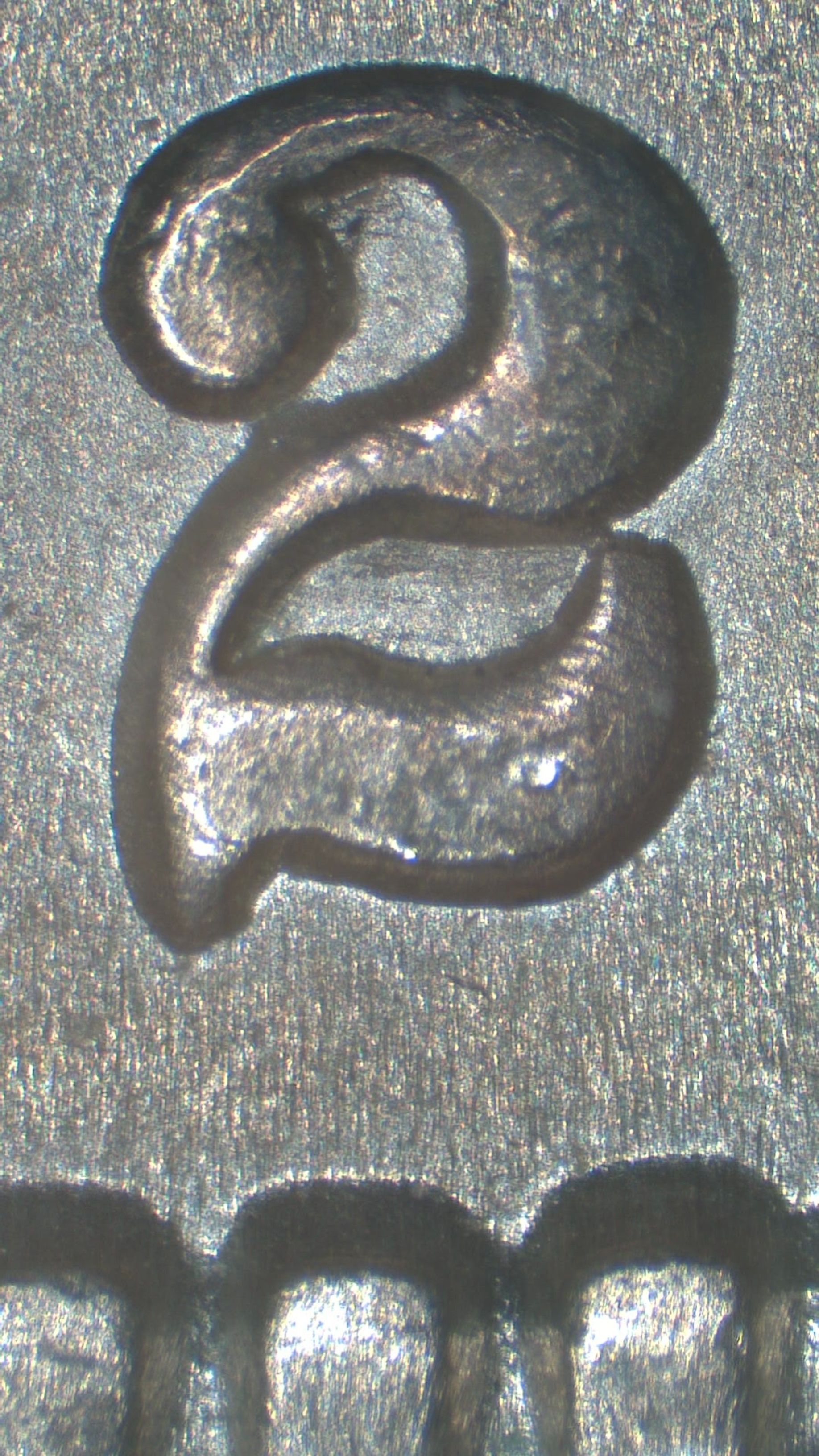 Image 21