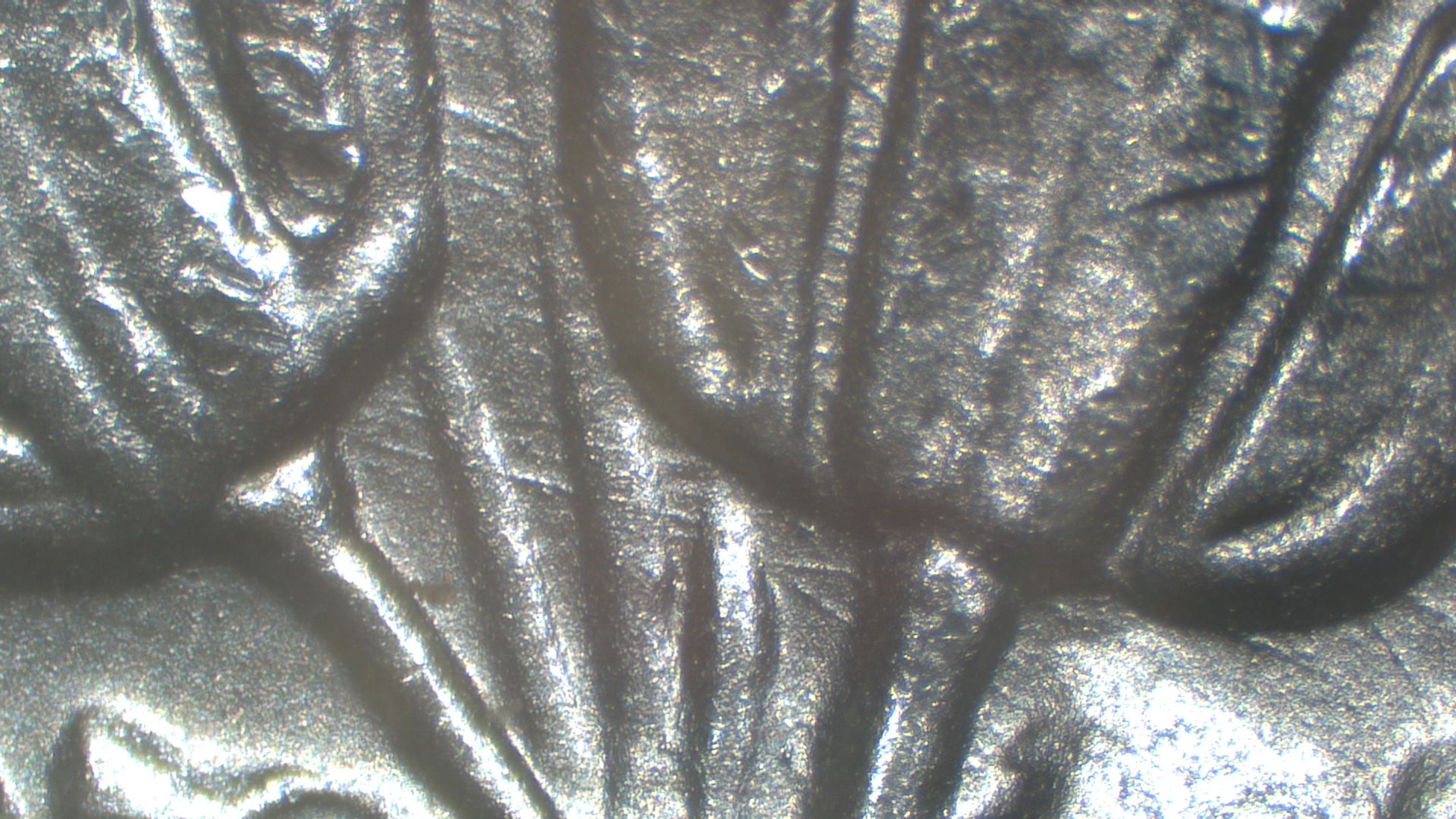 Image 20