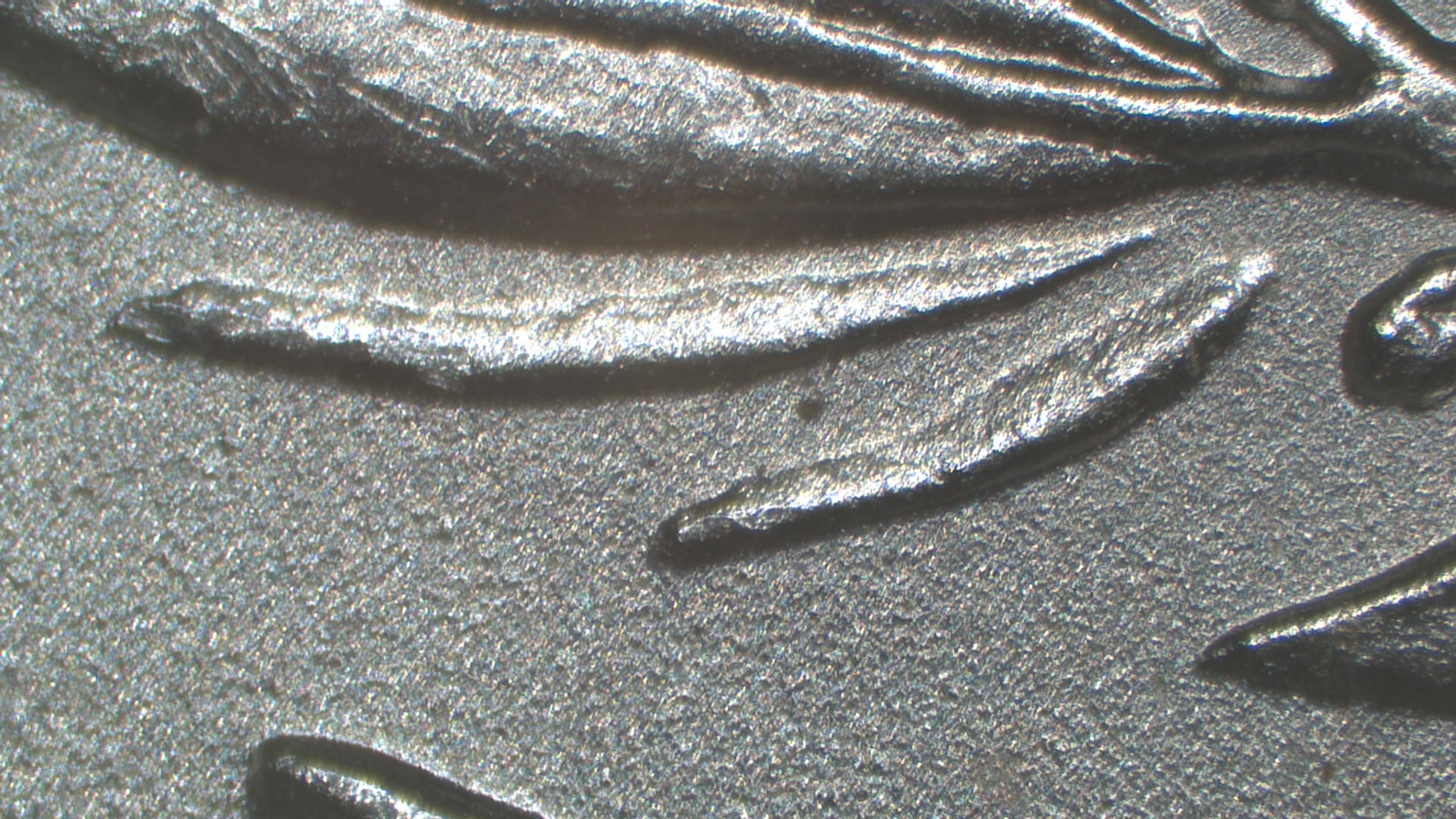 Image 14