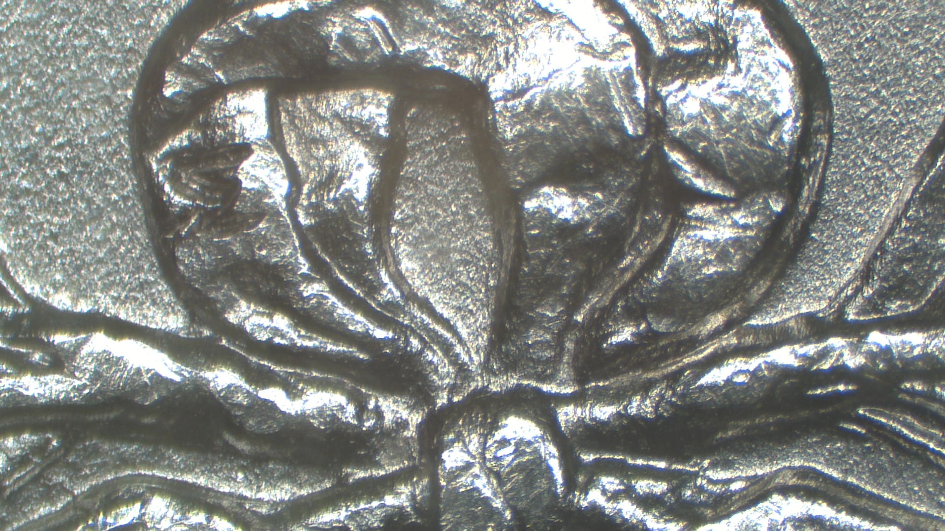 Image 23