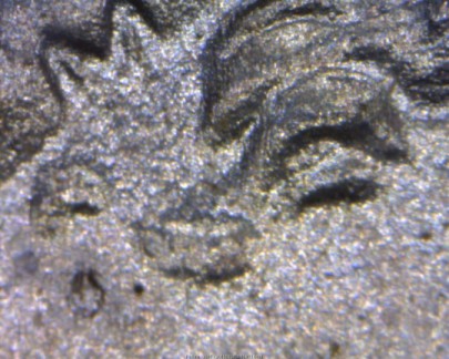 Image 20