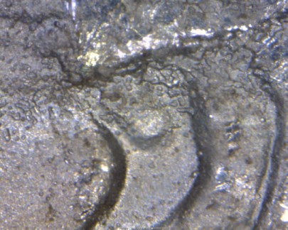 Image 14