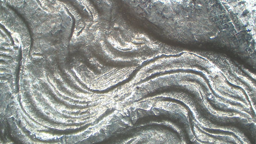 Image 16