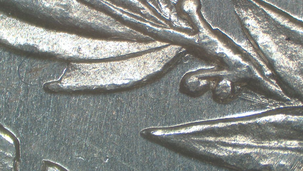 Image 13