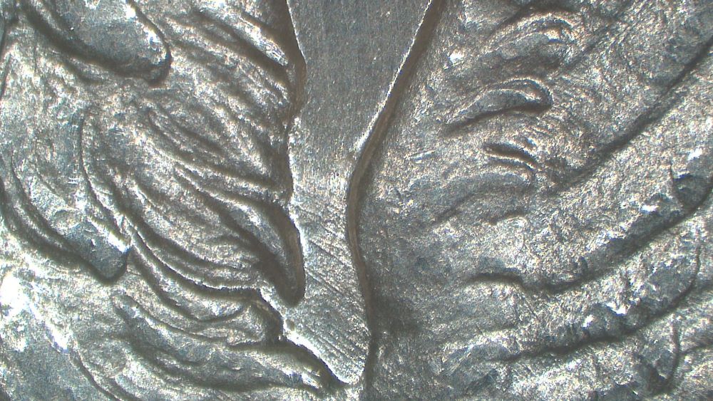 Image 20