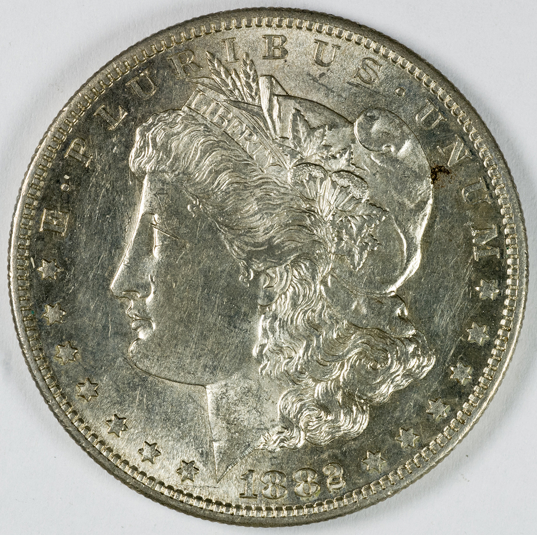 Image 21