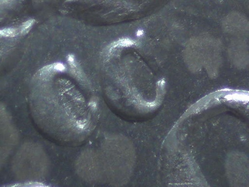 Image 15