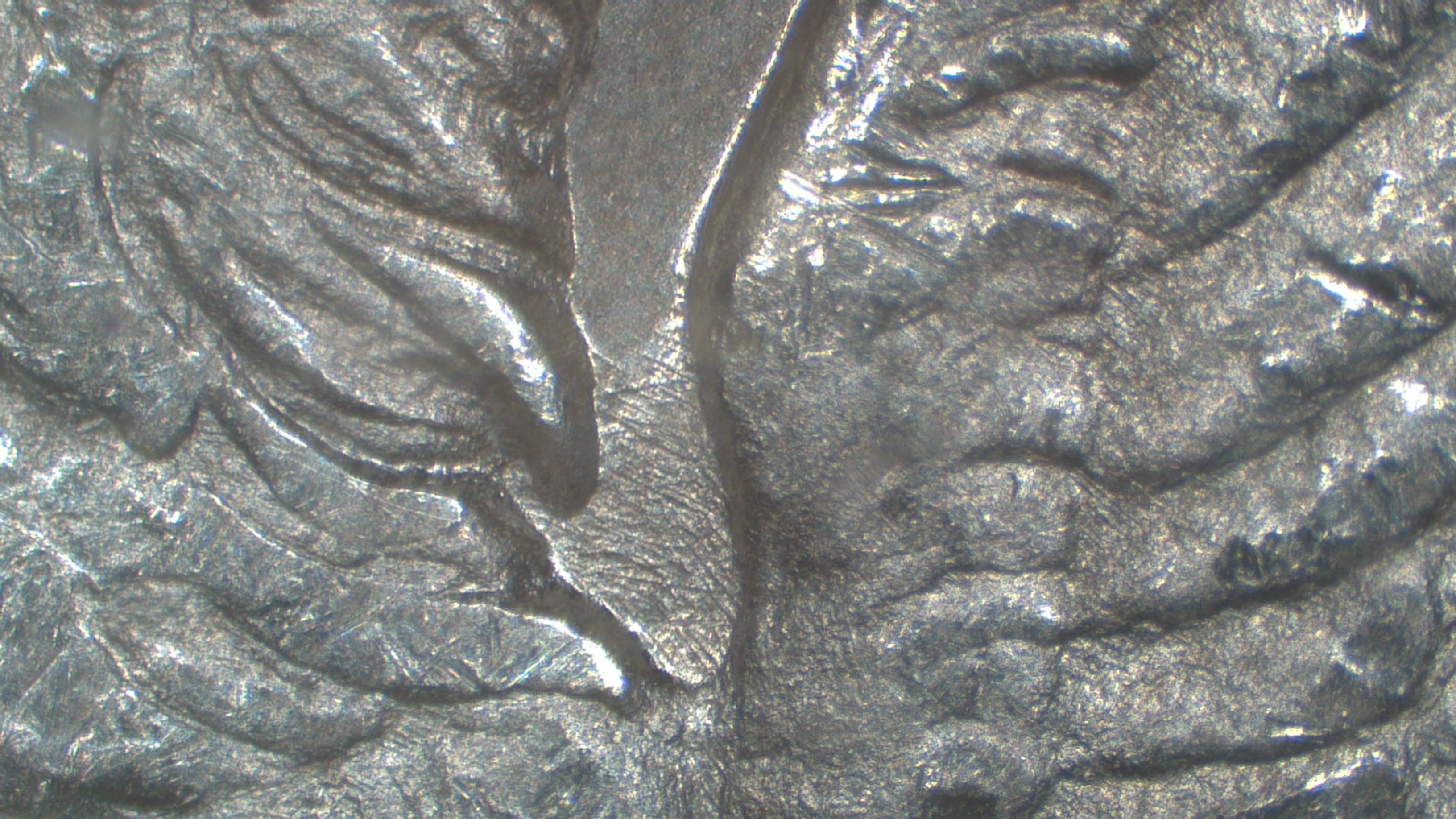 Image 18