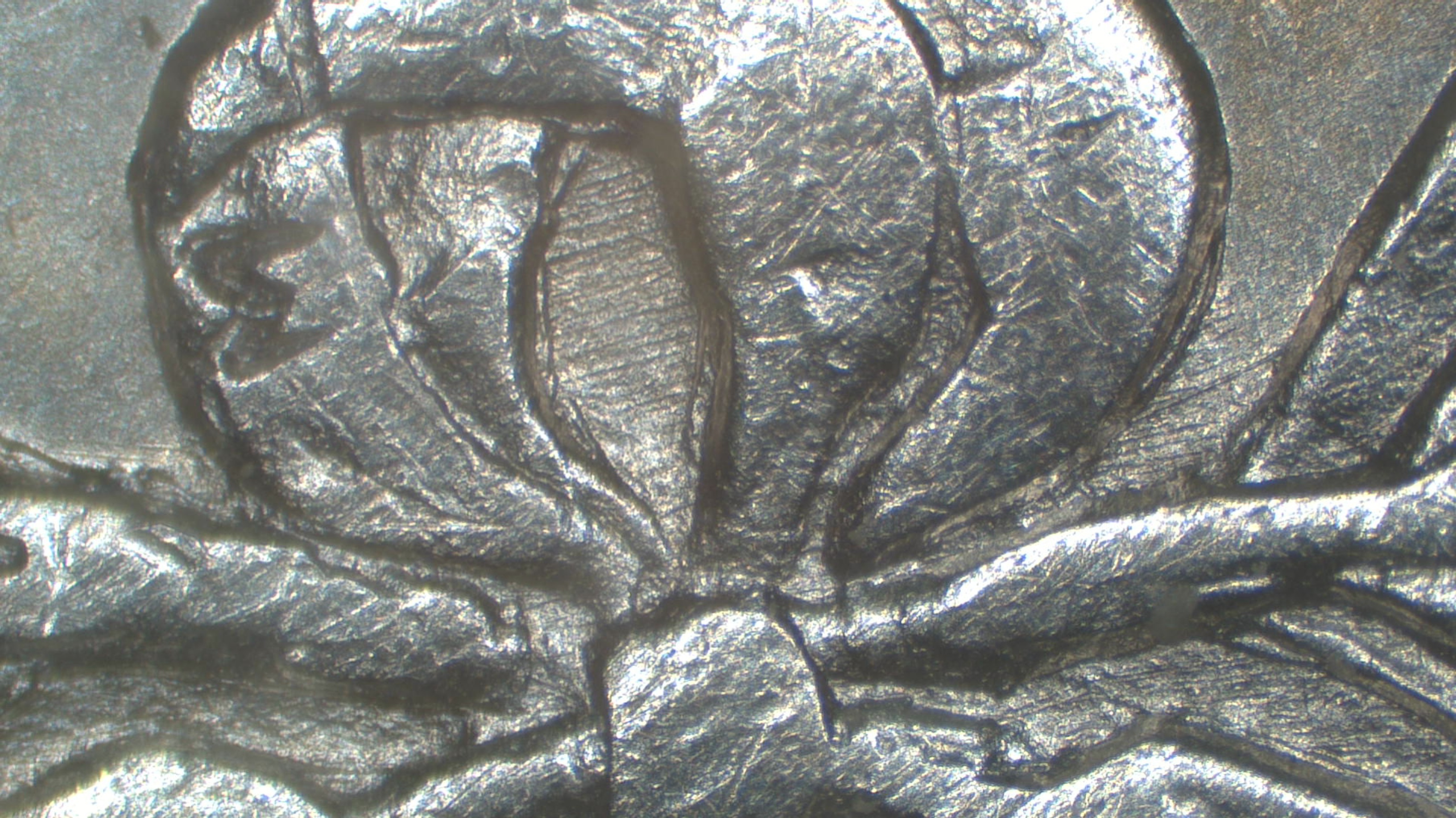 Image 13