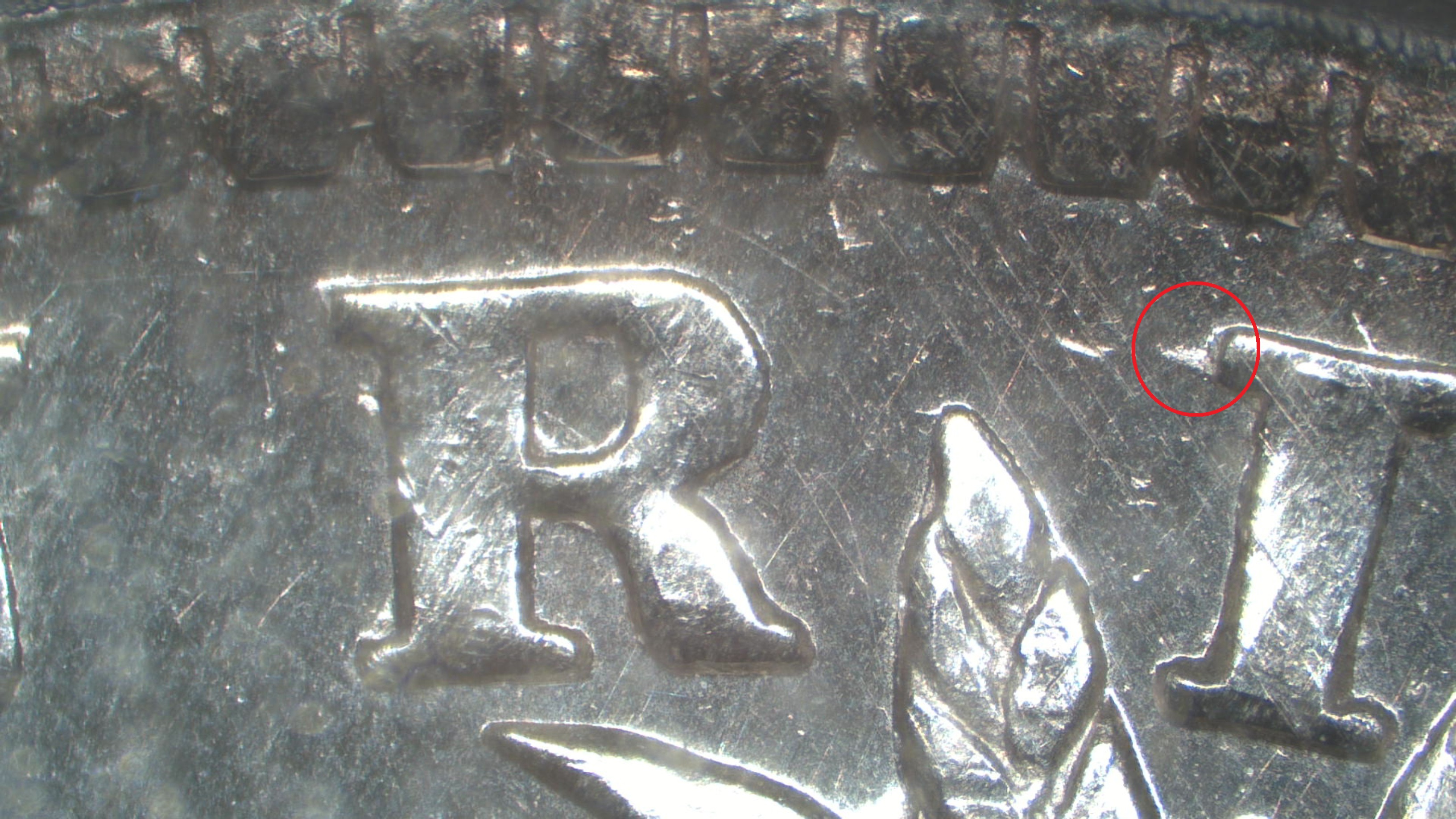 Image 15