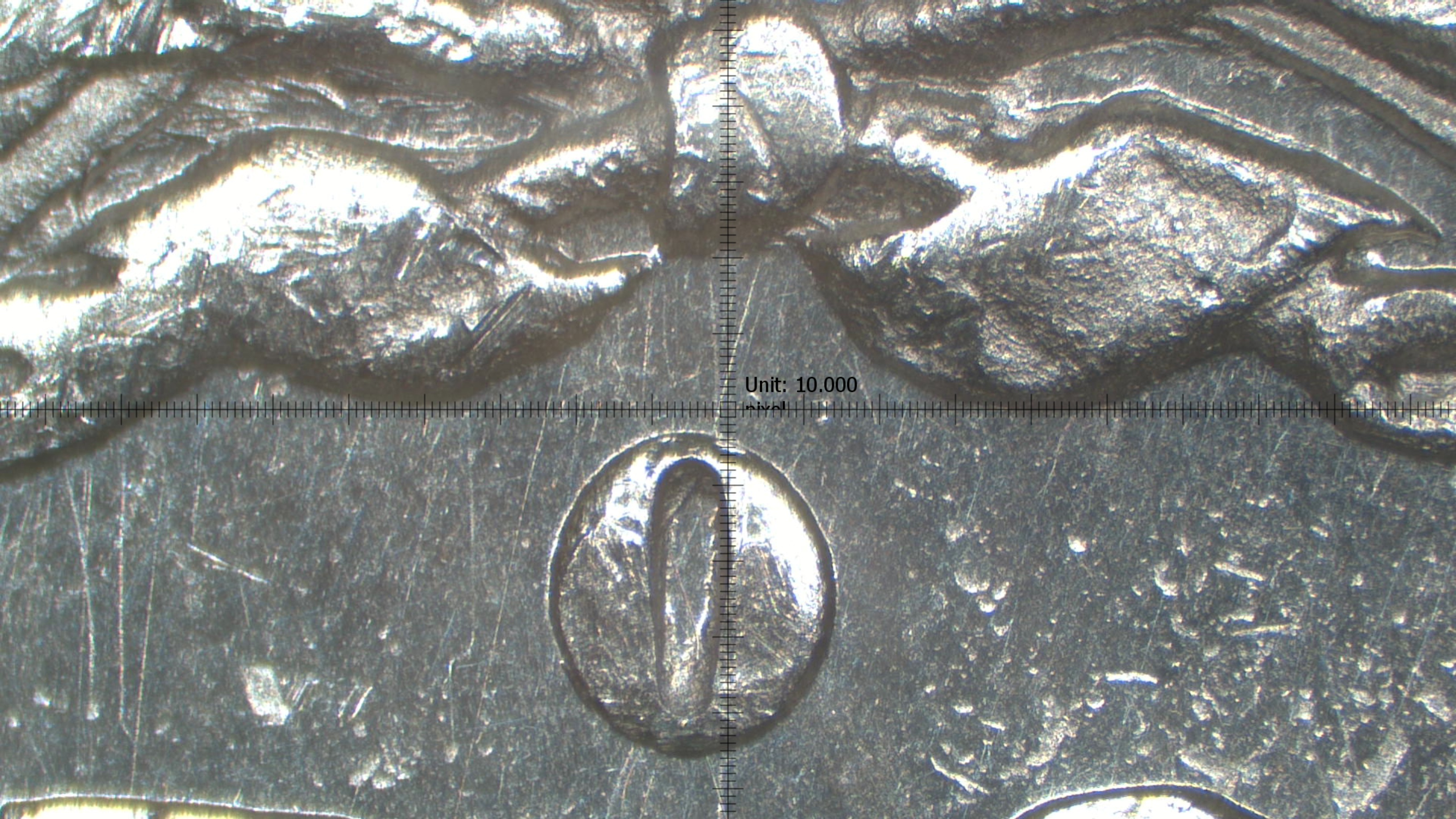 Image 14