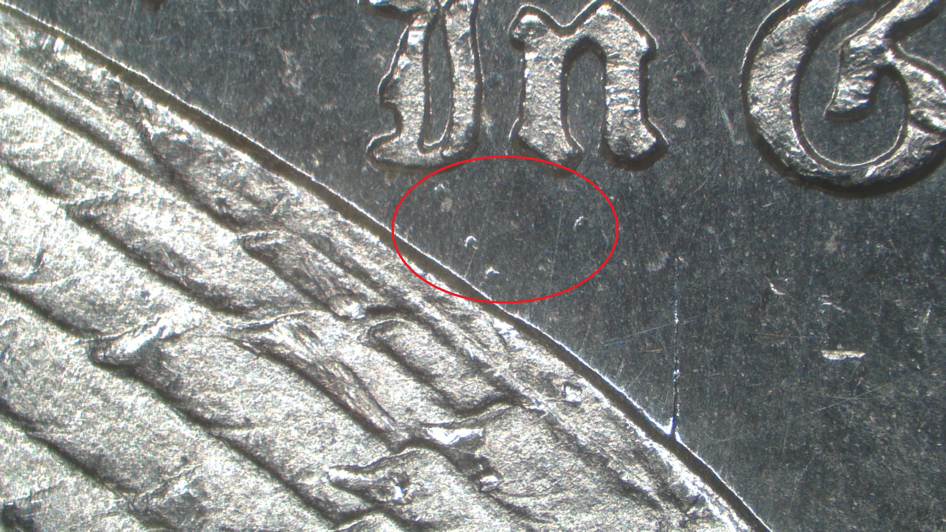 Image 13