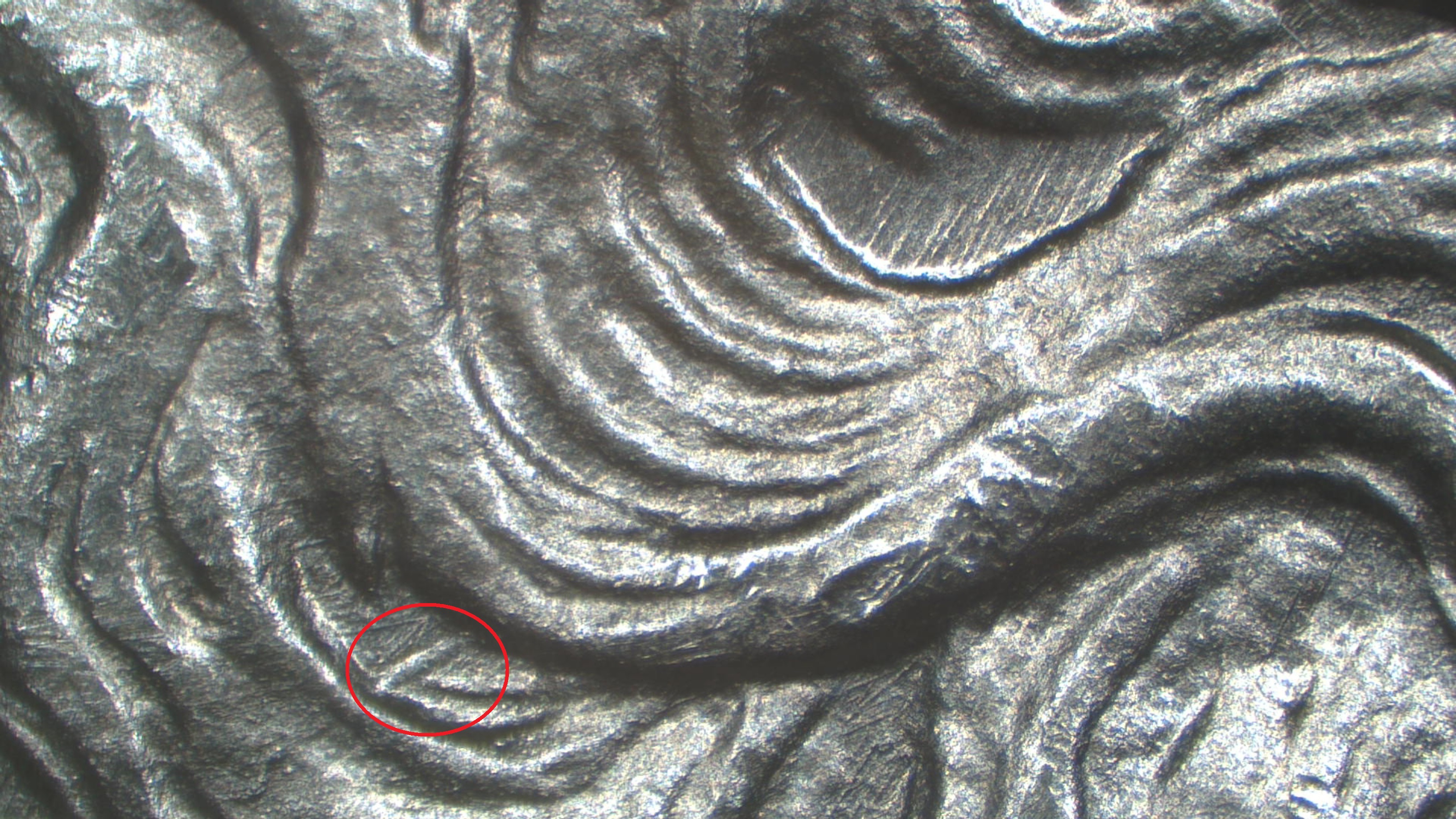 Image 23