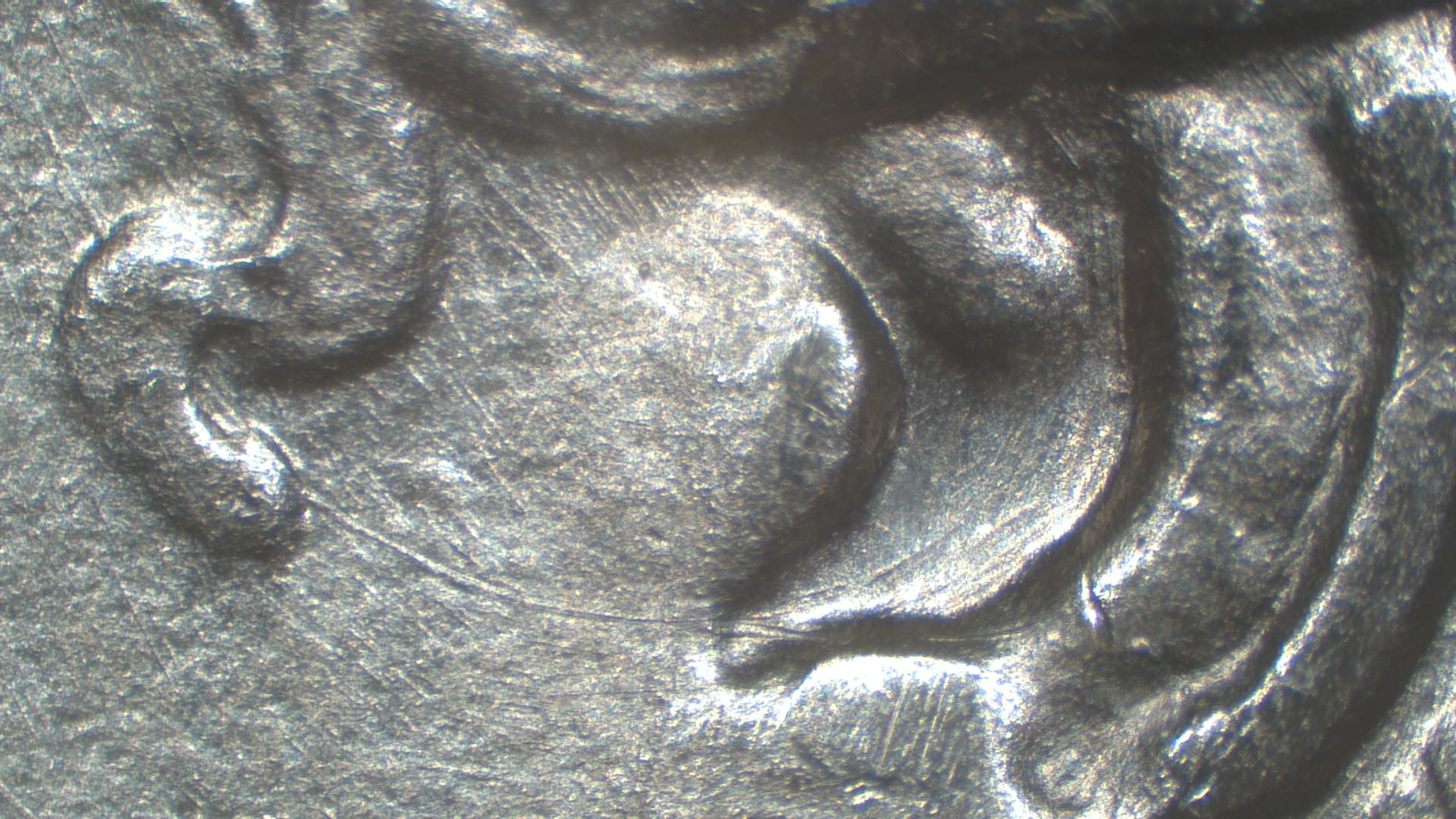 Image 21