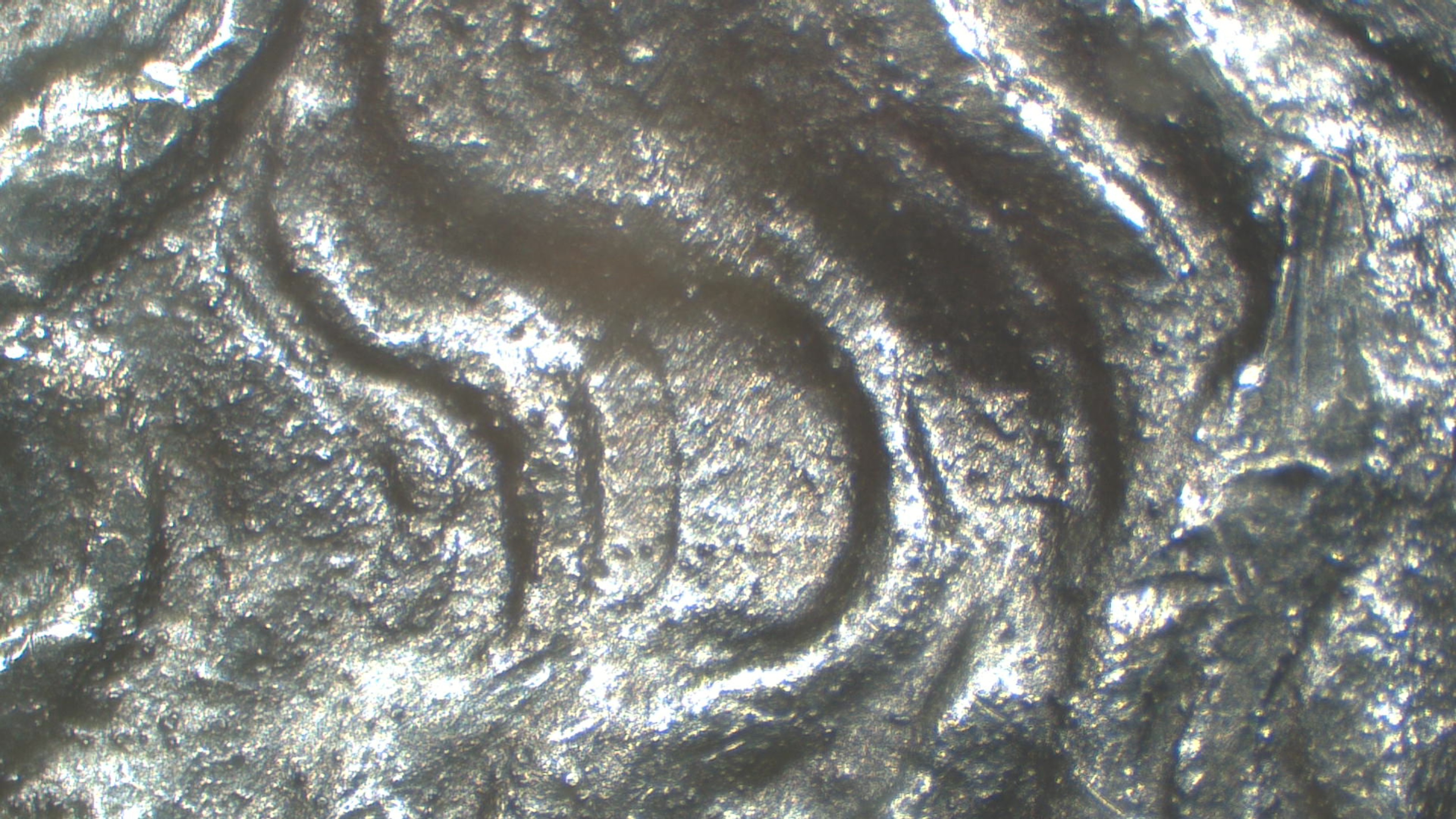 Image 13