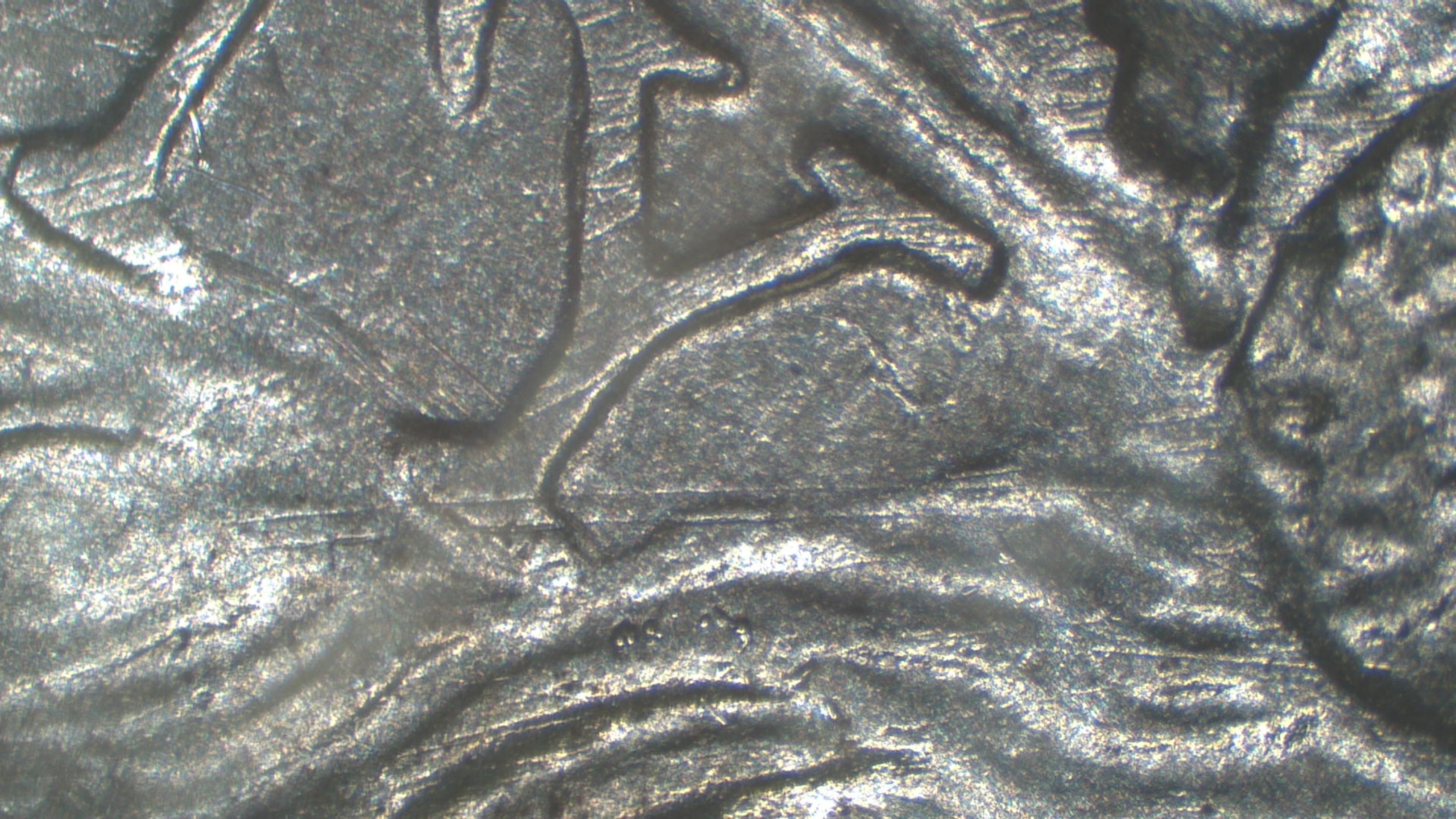 Image 17