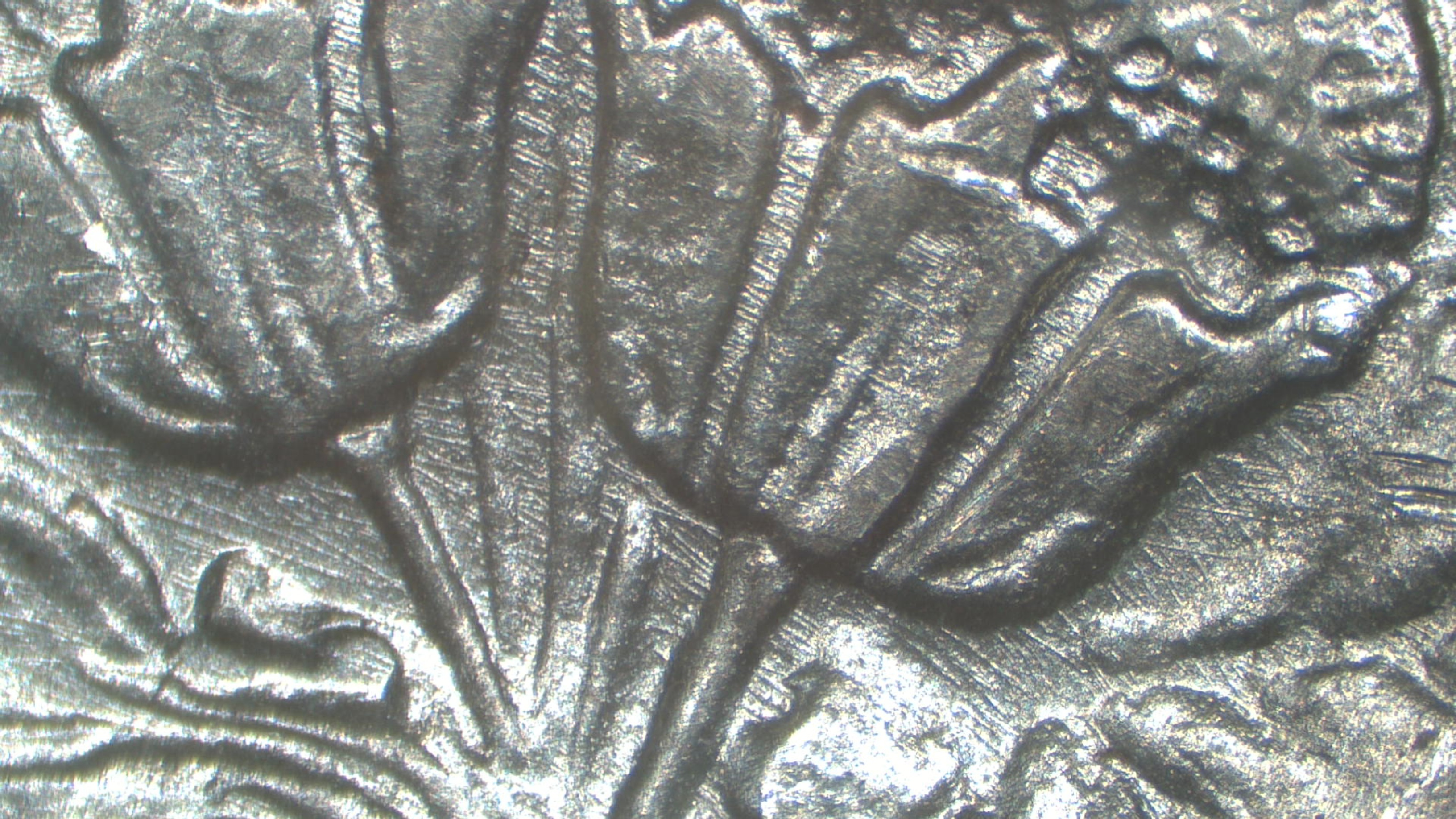 Image 23