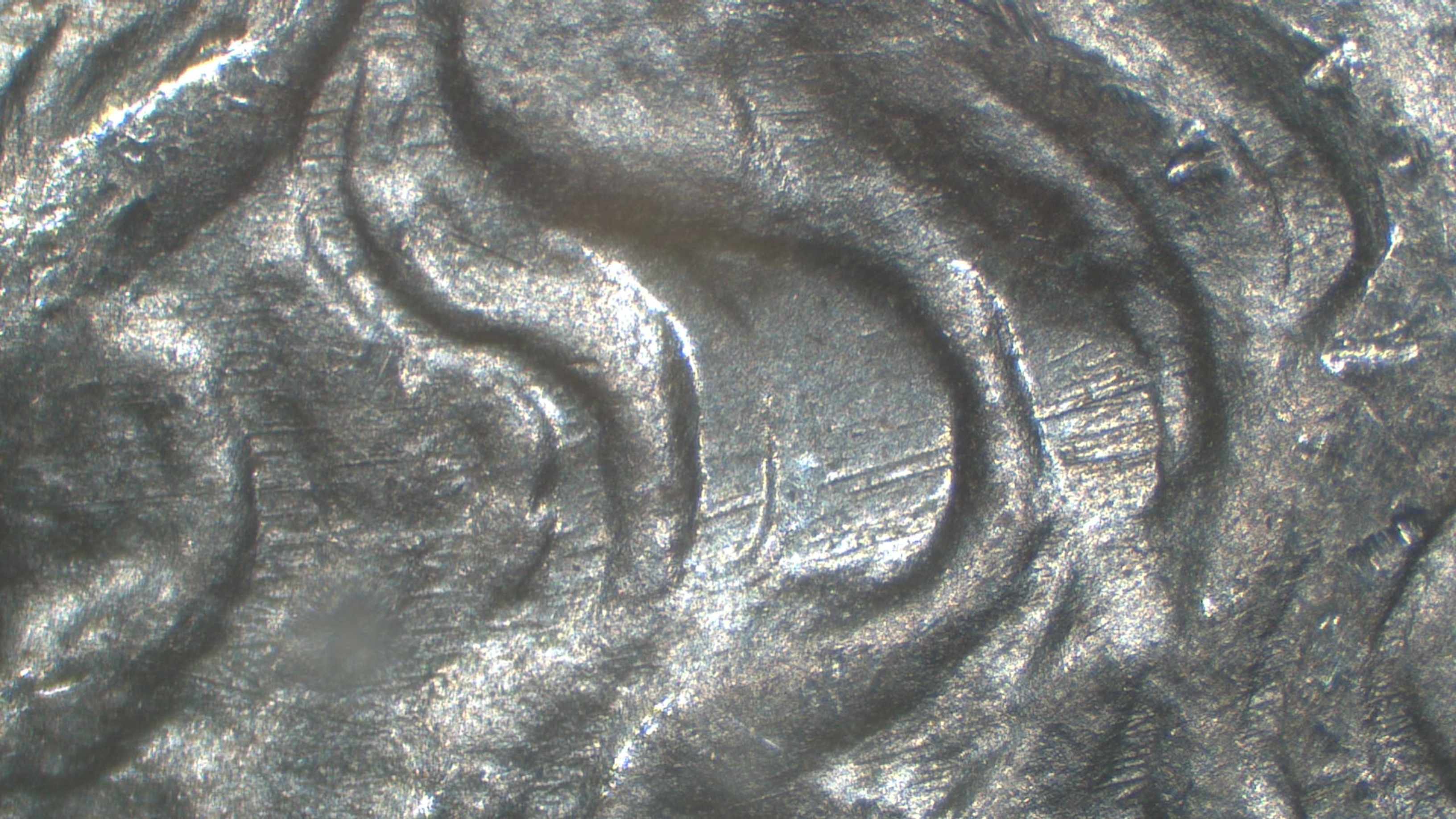 Image 22