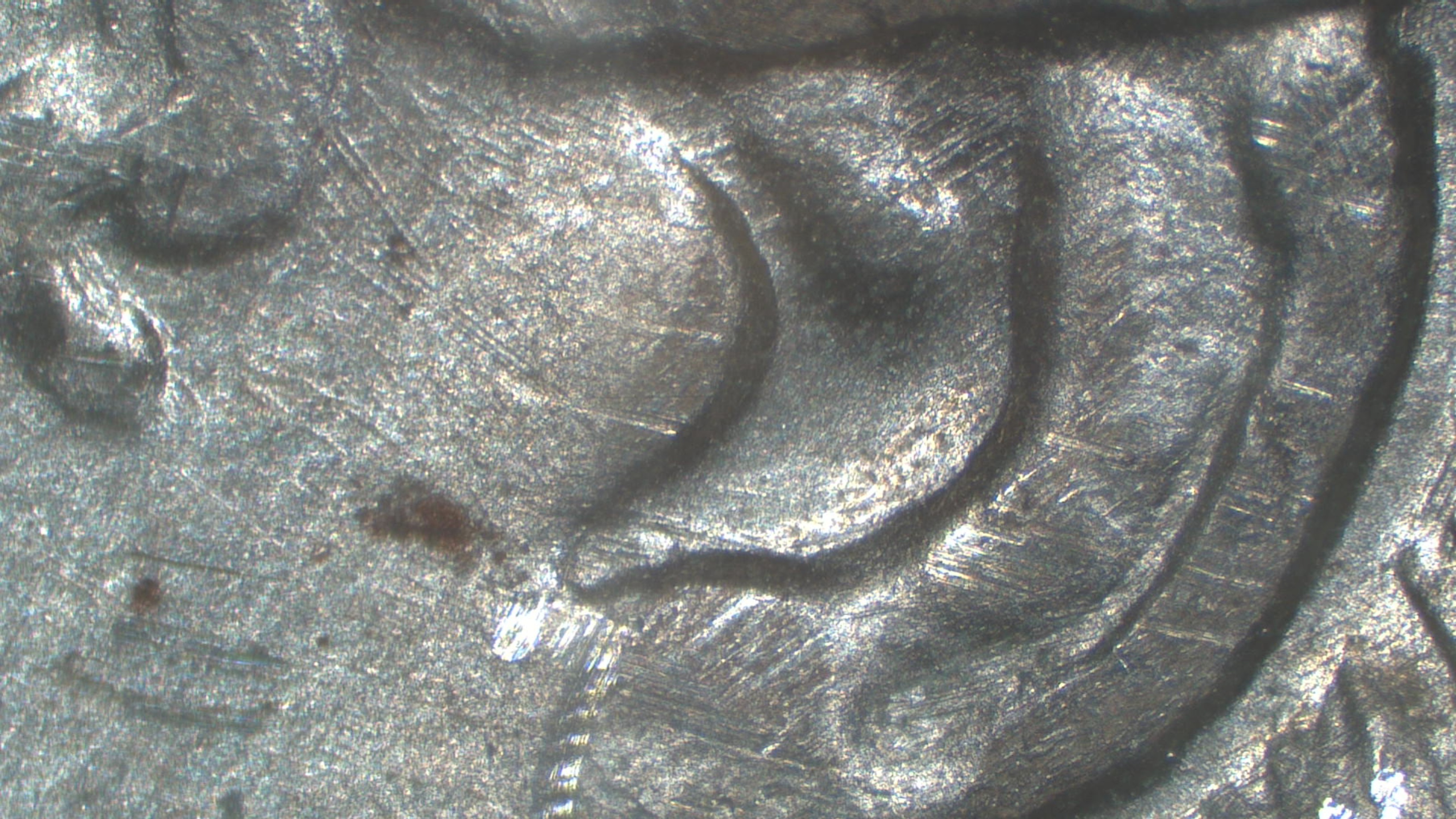 Image 20
